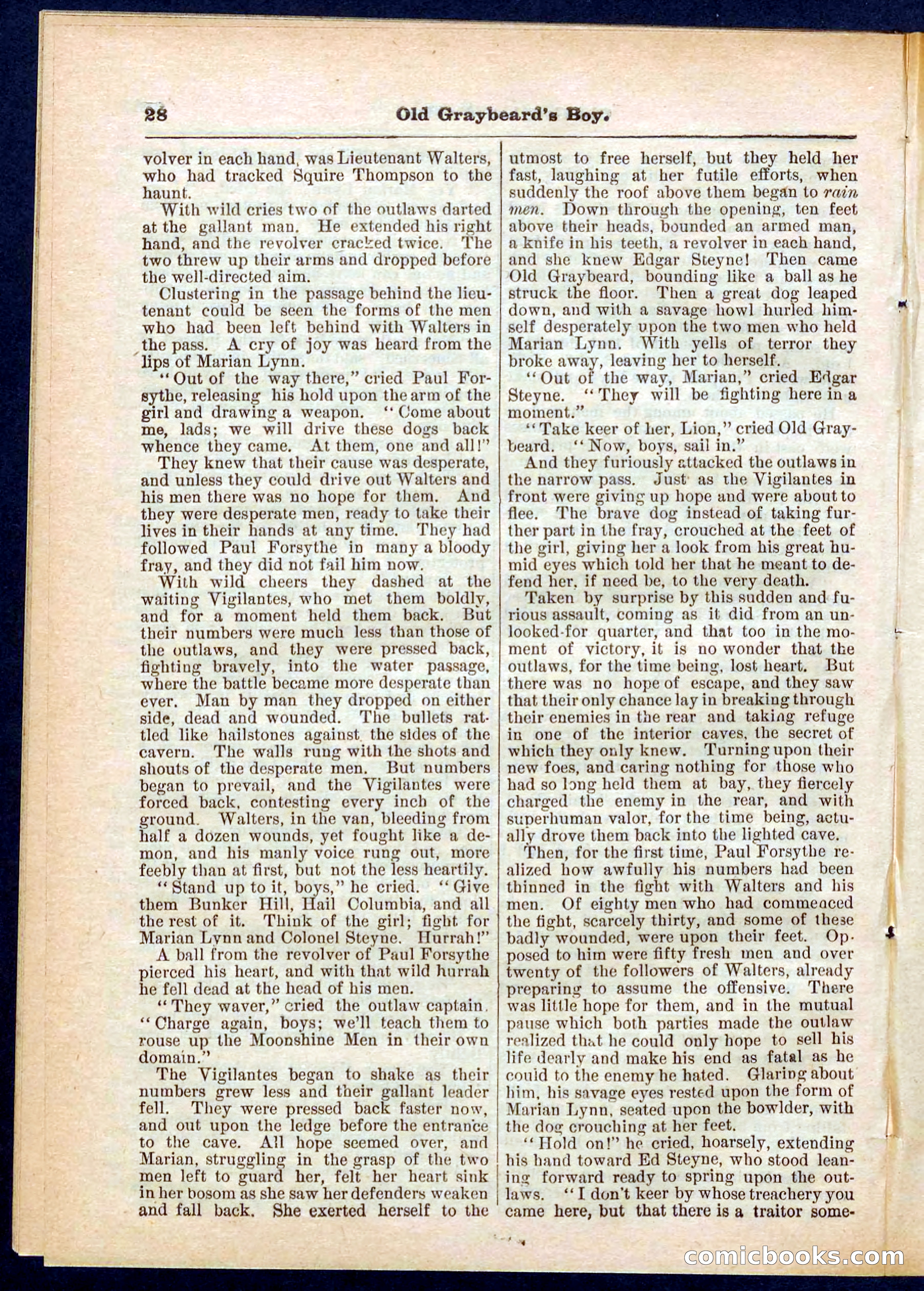 Beadle's Pocket Library No. 309 — page 28 of 32