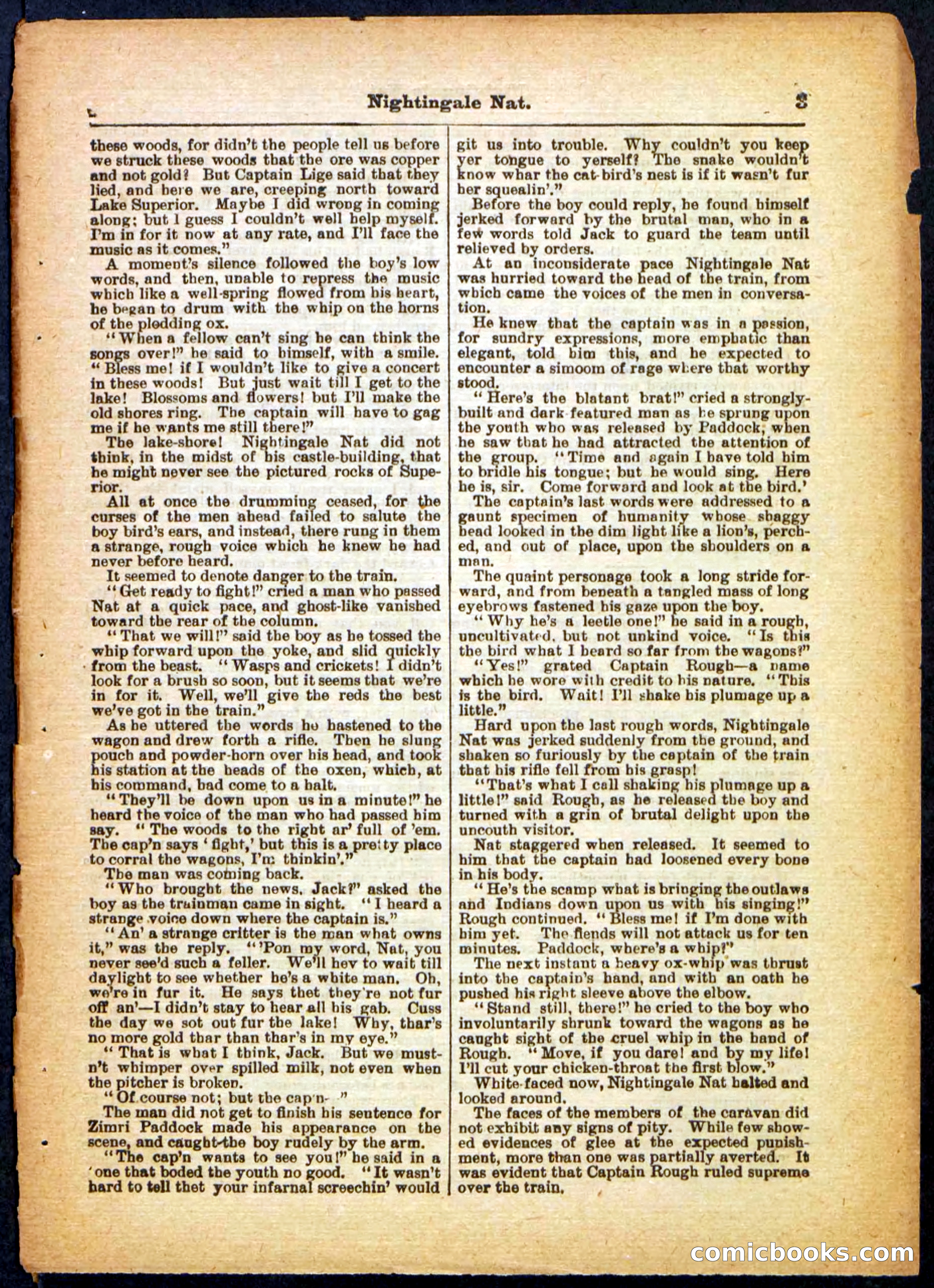 Beadle's Pocket Library, No. 31 — page 3 of 32