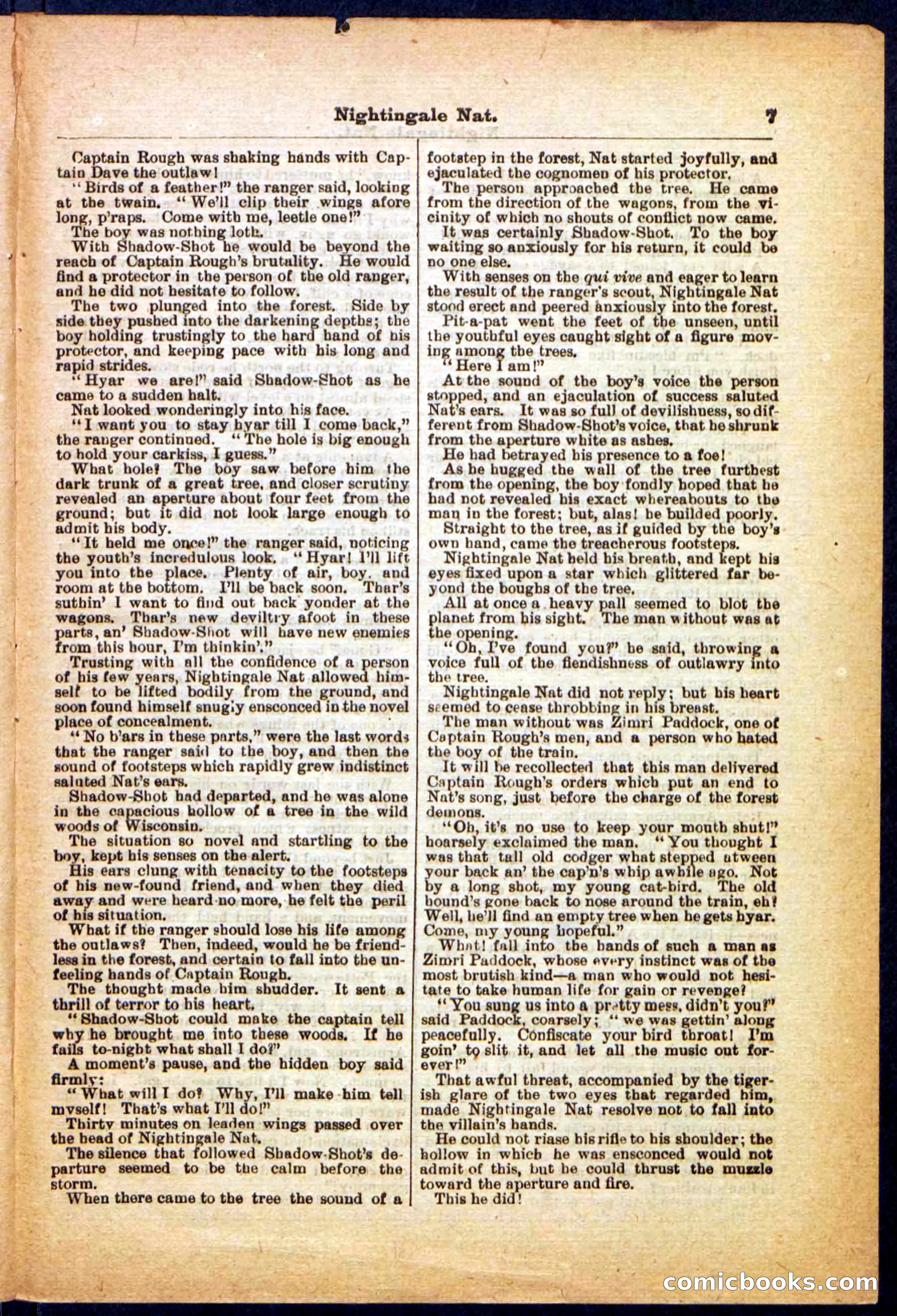 Beadle's Pocket Library, No. 31 — page 7 of 32