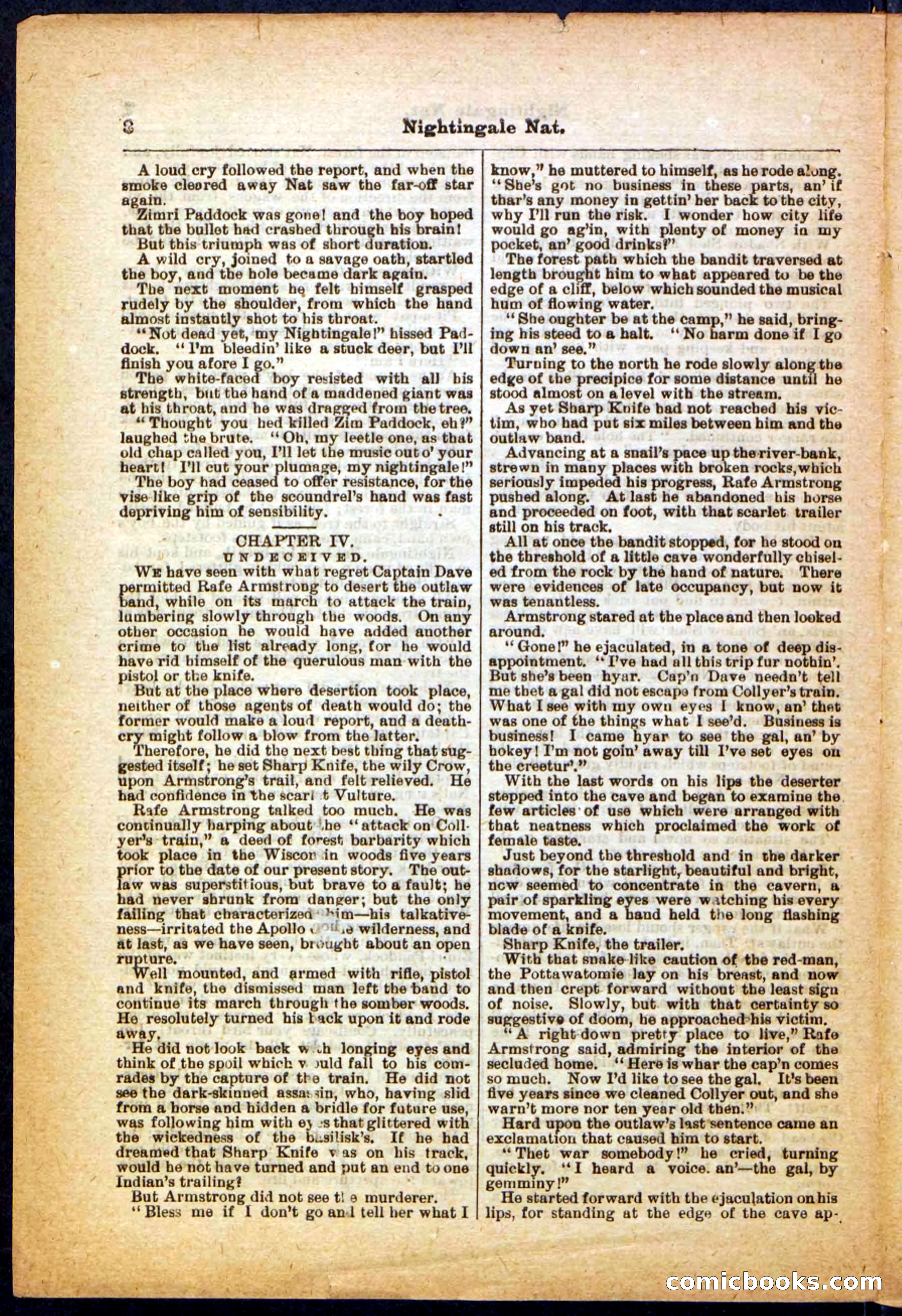 Beadle's Pocket Library, No. 31 — page 8 of 32