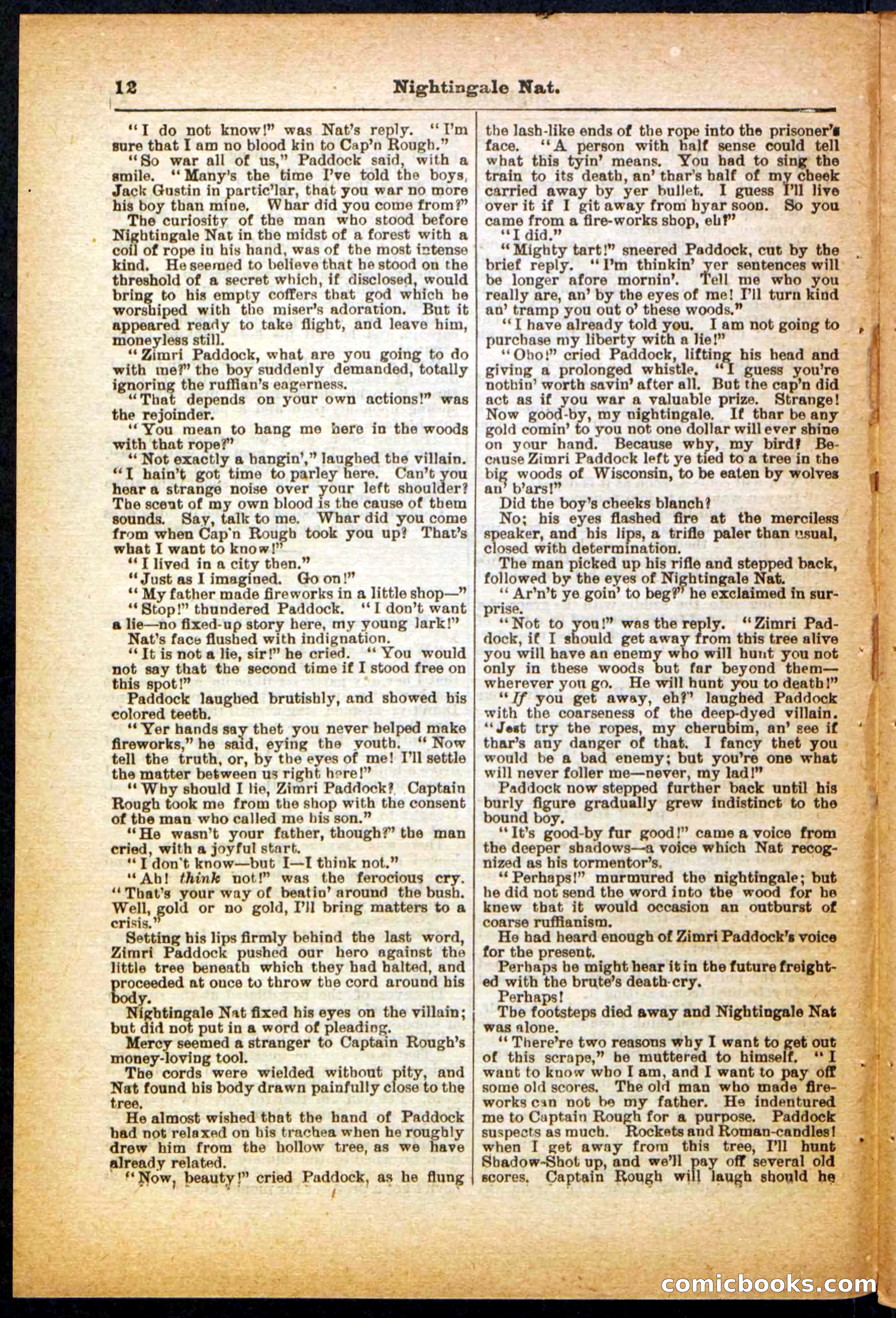 Beadle's Pocket Library, No. 31 — page 12 of 32