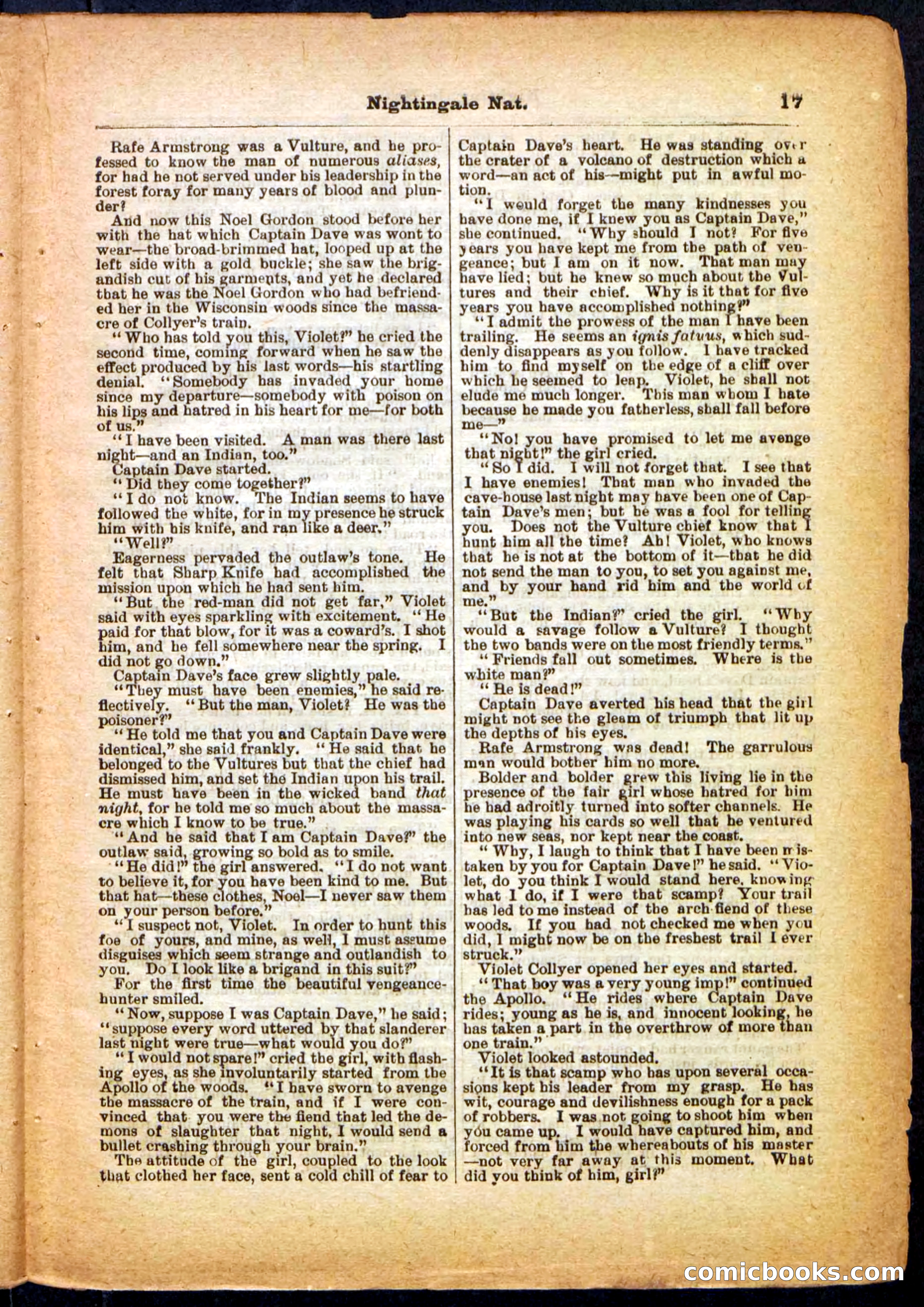 Beadle's Pocket Library, No. 31 — page 17 of 32