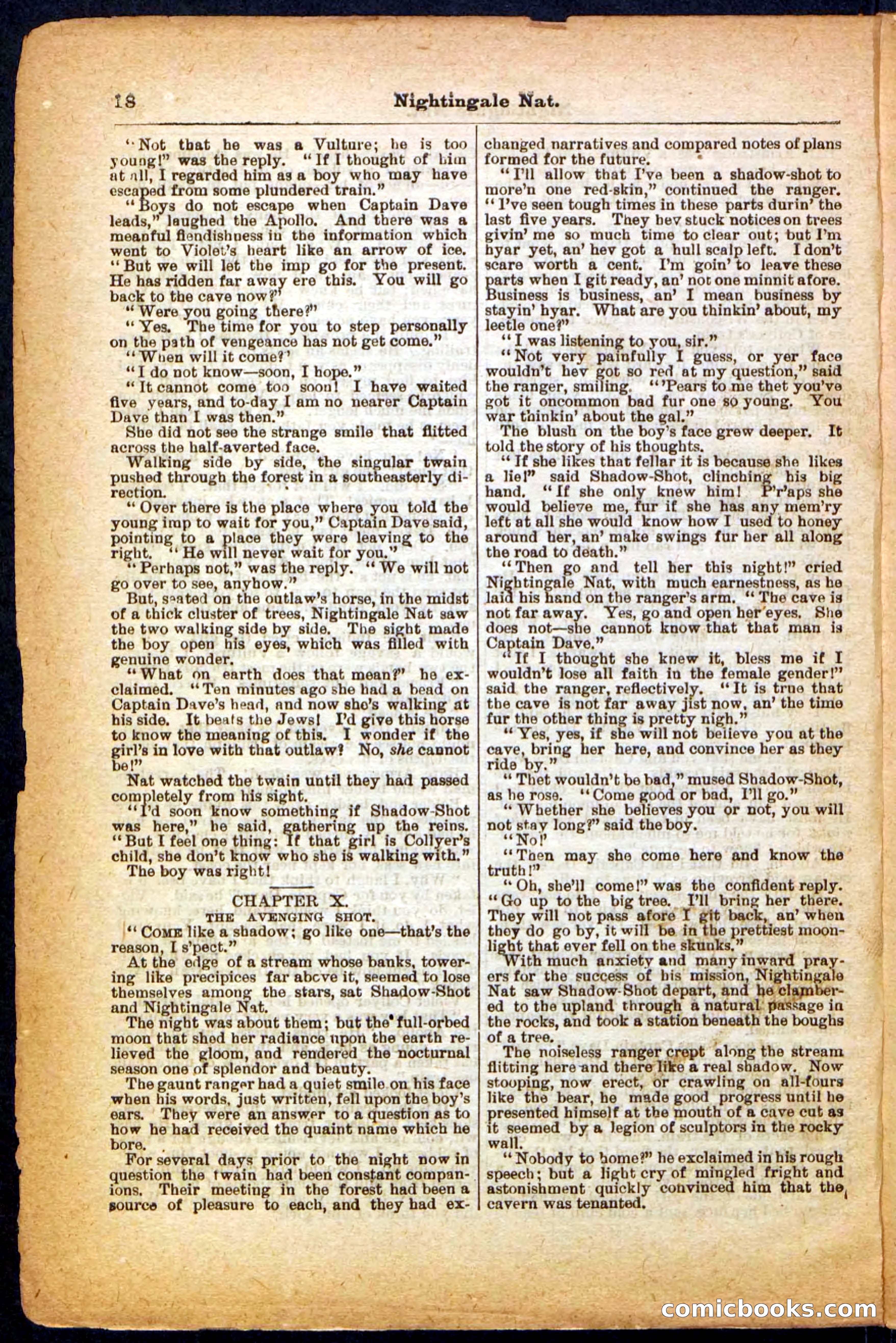 Beadle's Pocket Library, No. 31 — page 18 of 32