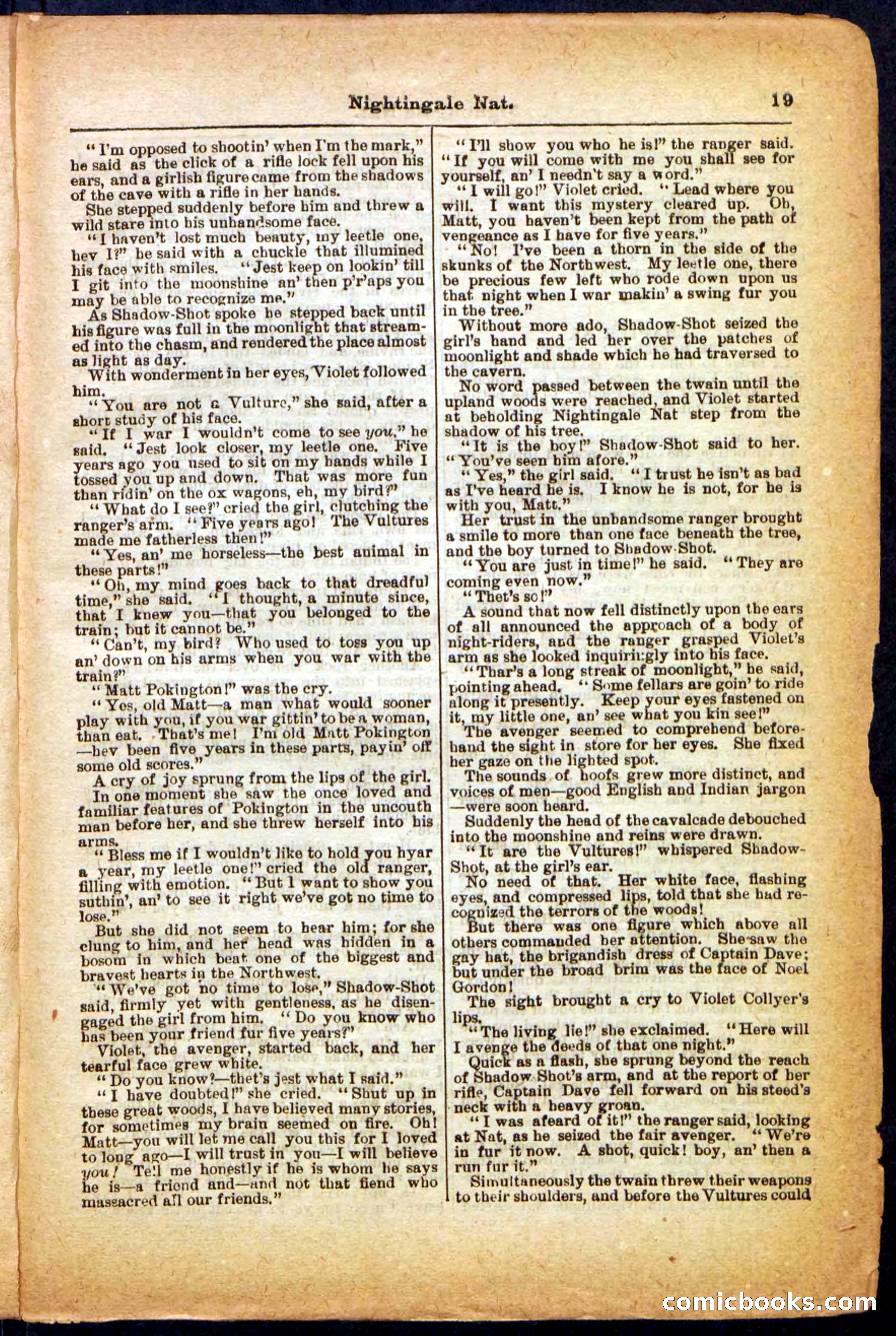 Beadle's Pocket Library, No. 31 — page 19 of 32