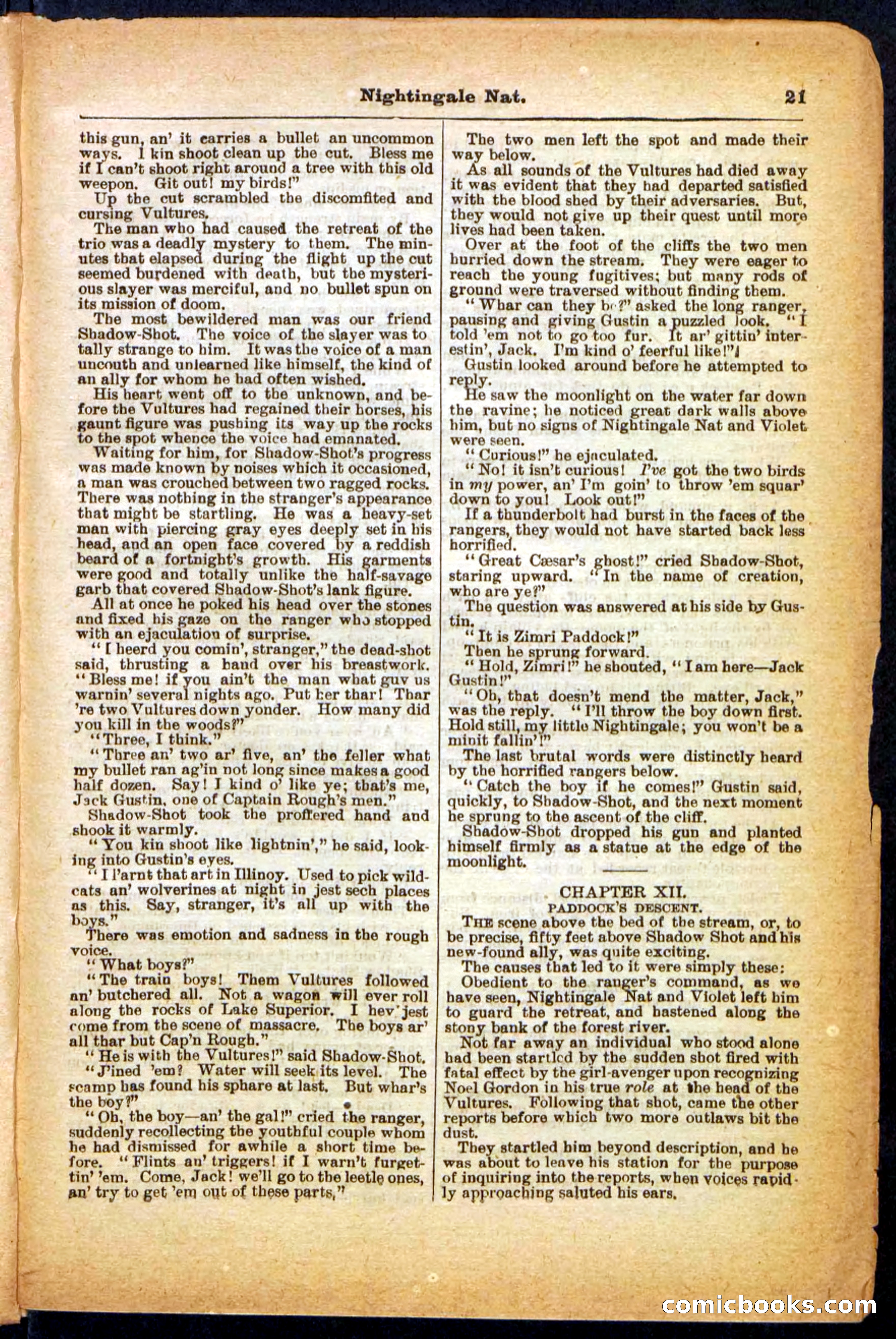 Beadle's Pocket Library, No. 31 — page 21 of 32