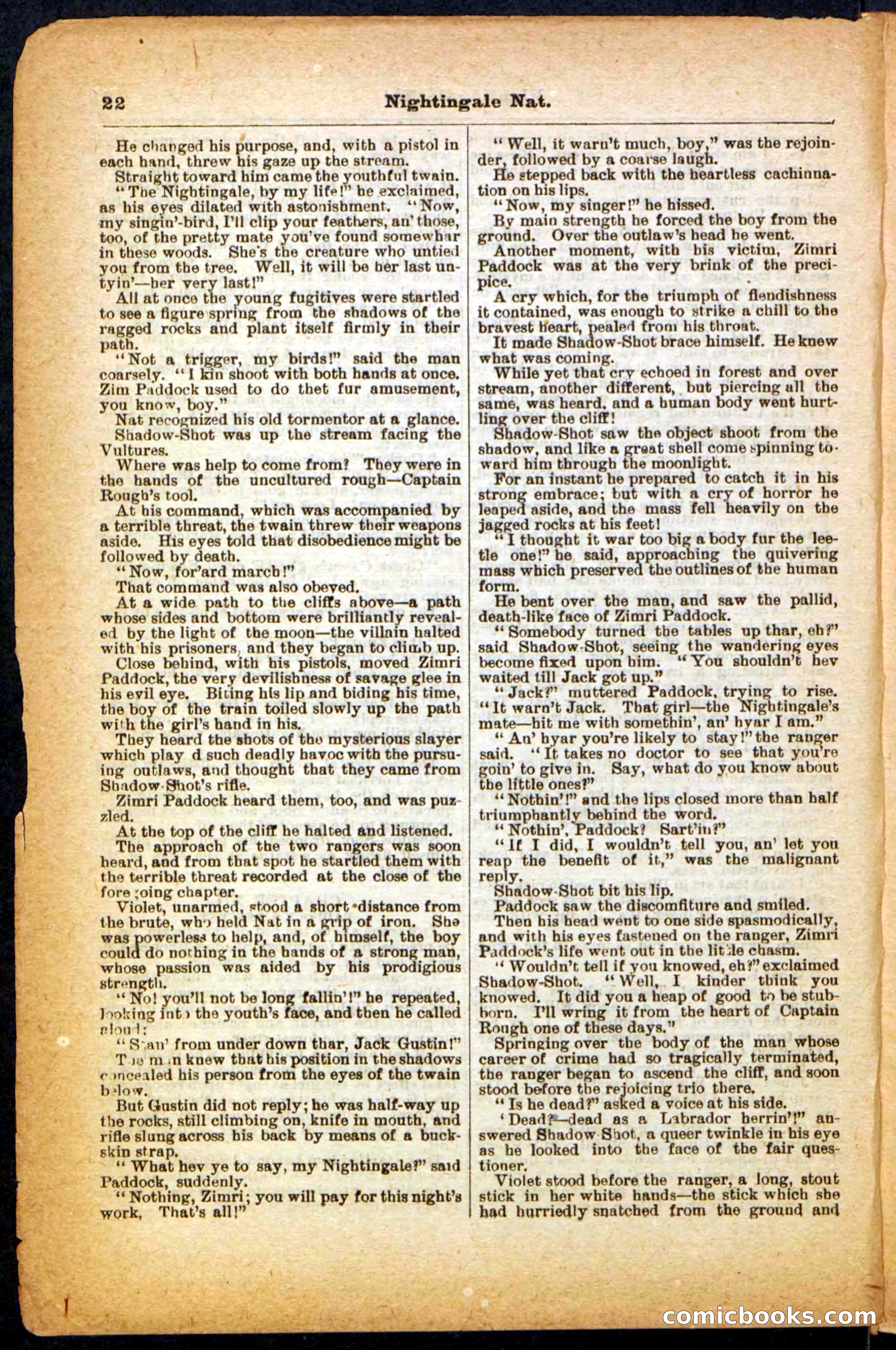 Beadle's Pocket Library, No. 31 — page 22 of 32