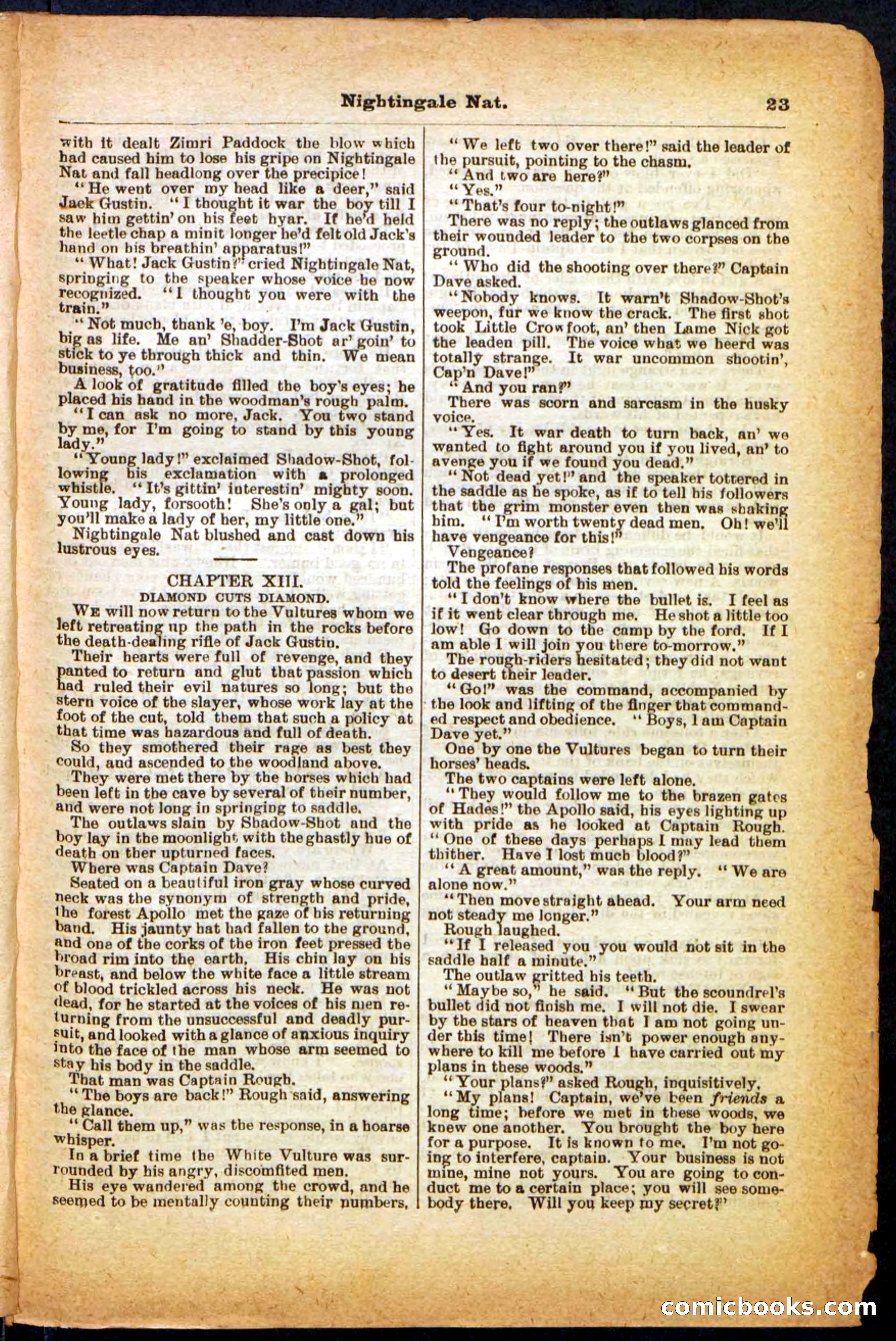 Beadle's Pocket Library, No. 31 — page 23 of 32