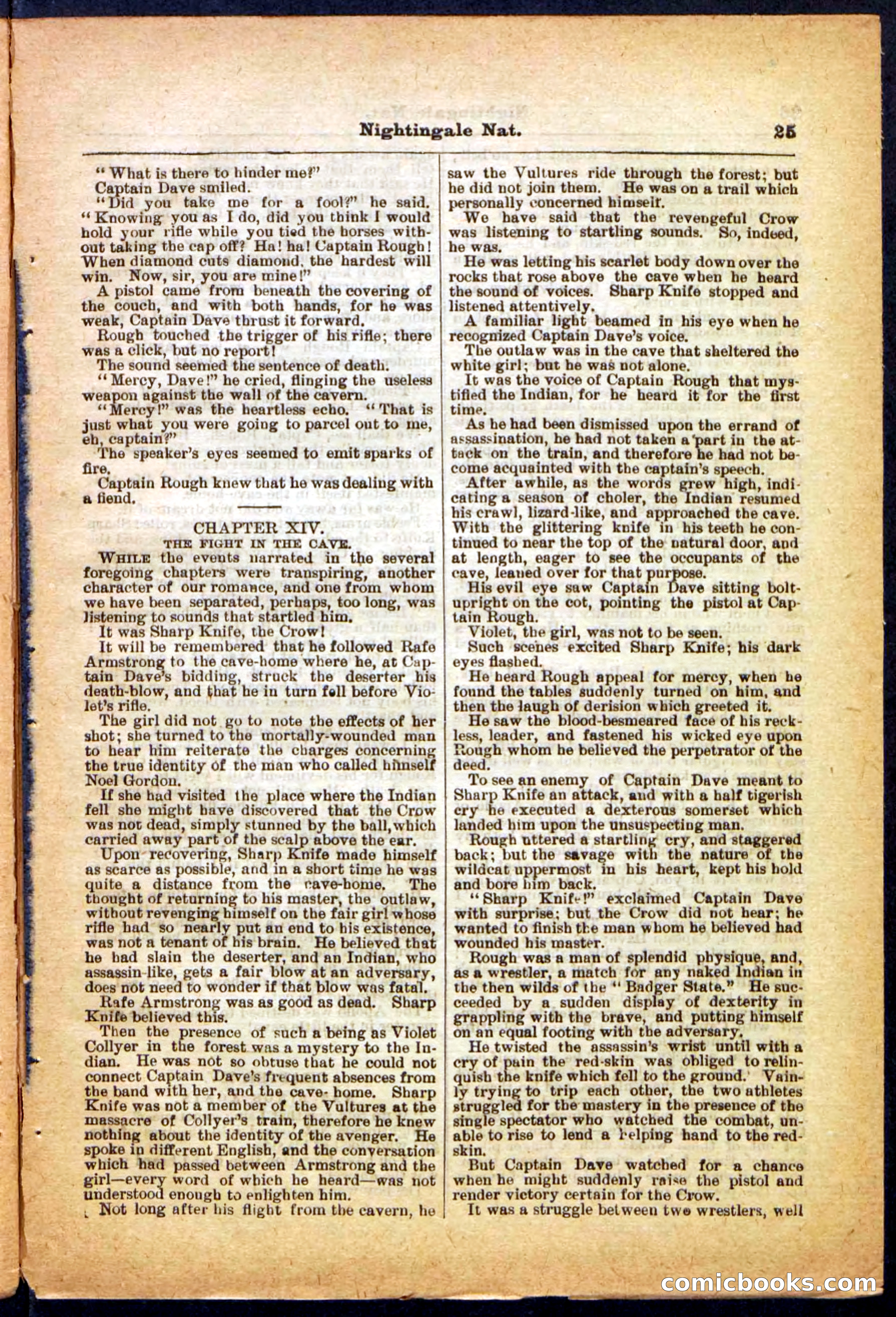 Beadle's Pocket Library, No. 31 — page 25 of 32