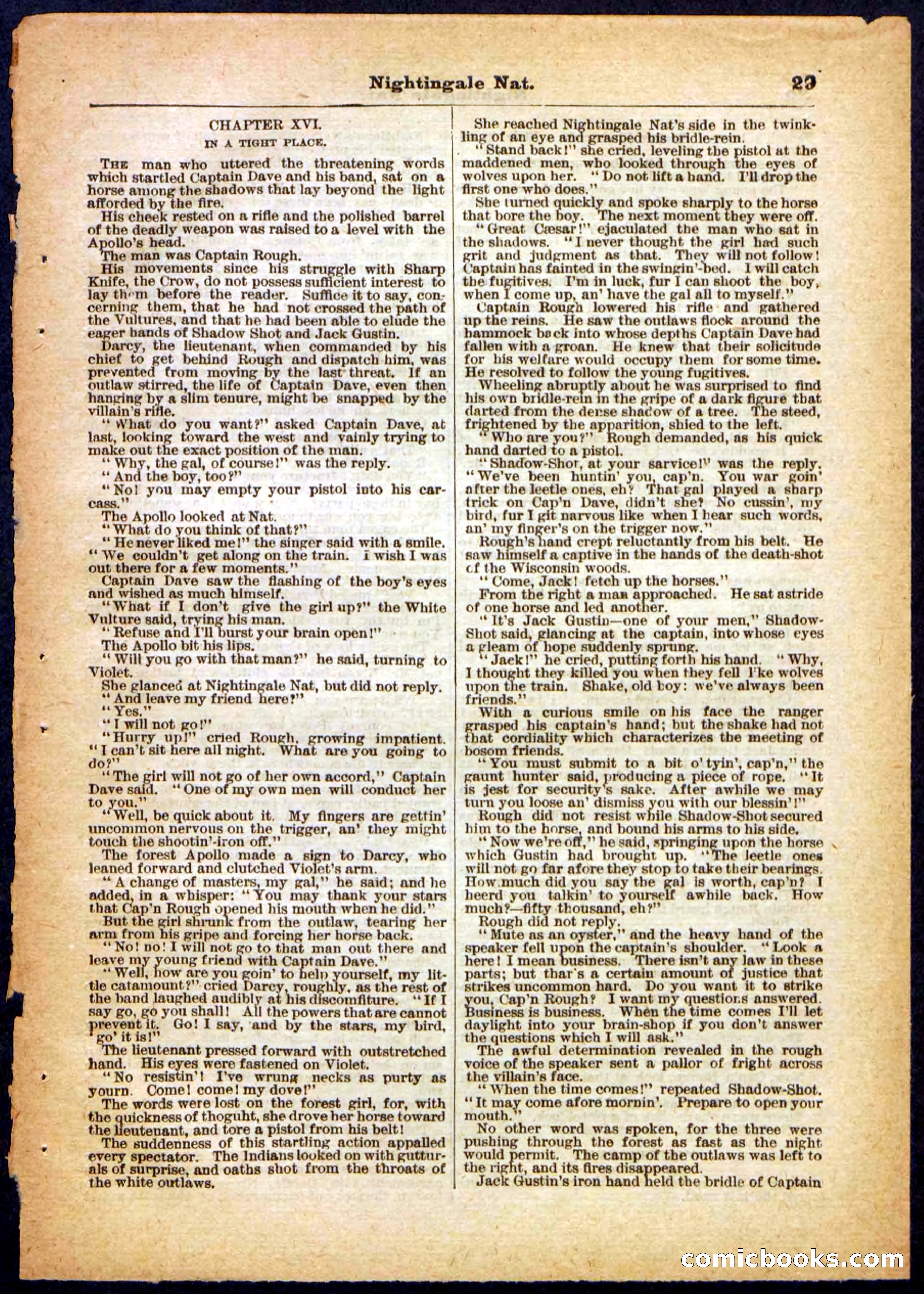 Beadle's Pocket Library, No. 31 — page 29 of 32