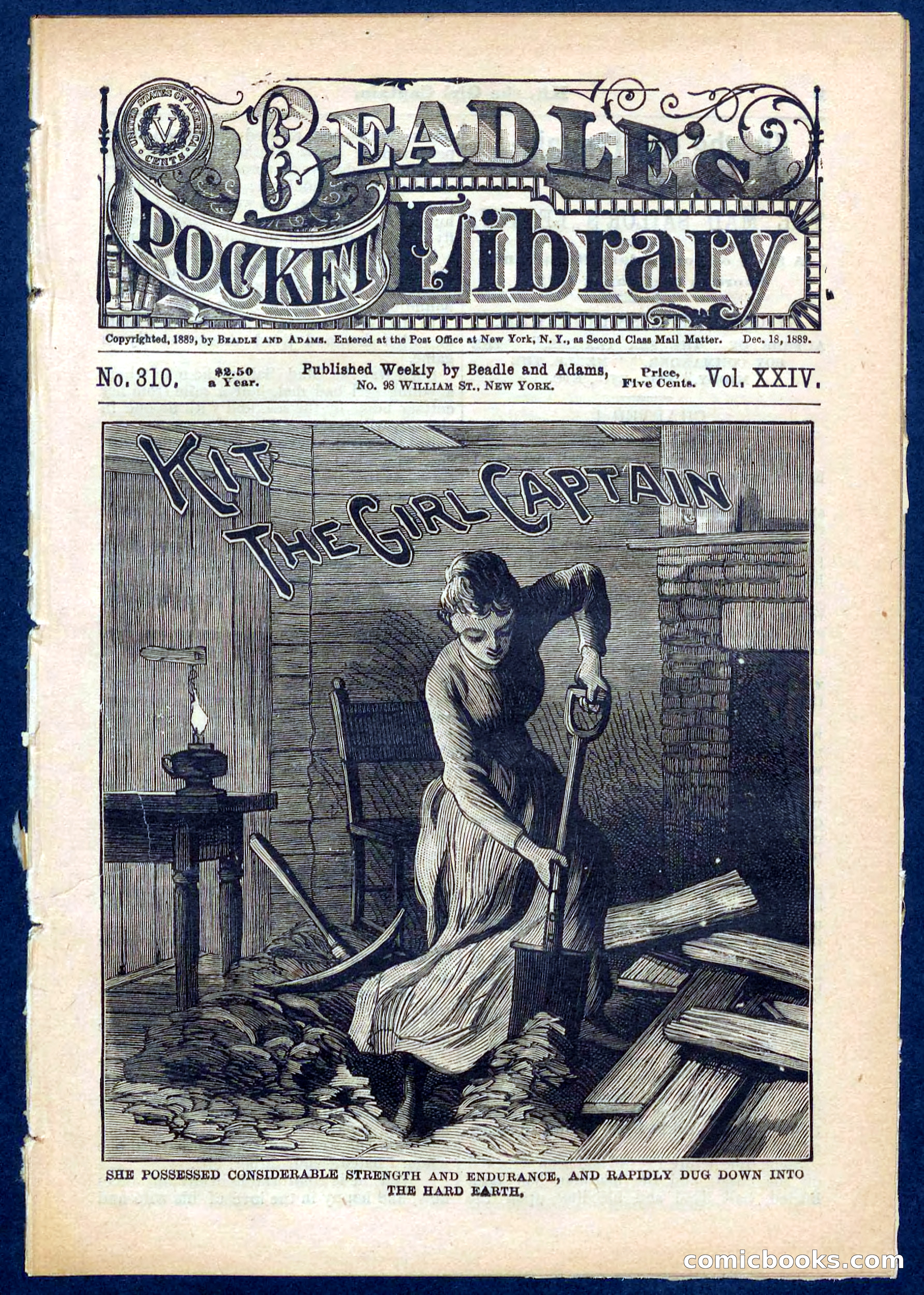 Beadle's Pocket Library No. 310 — page 1 of 32