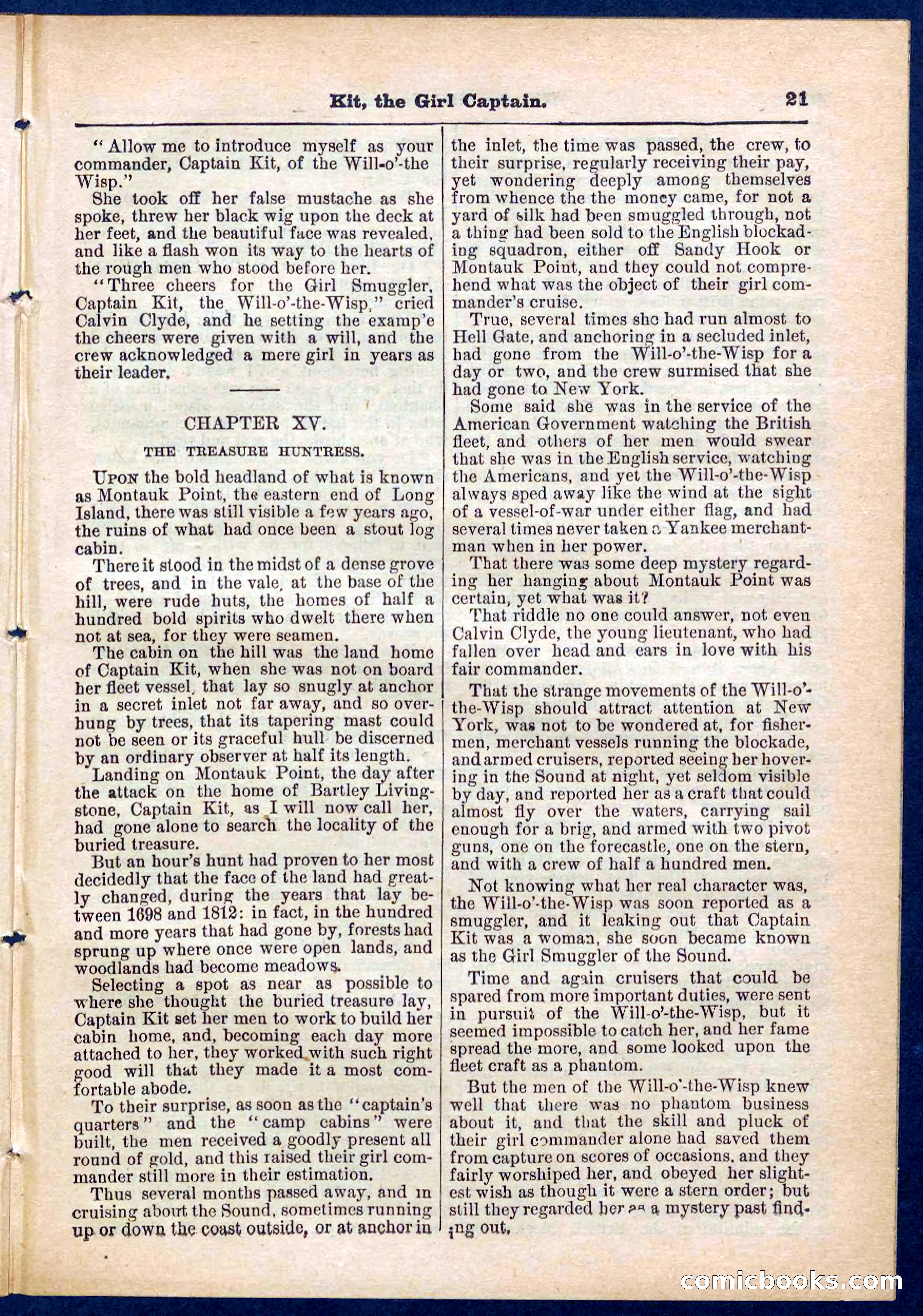 Beadle's Pocket Library No. 310 — page 21 of 32