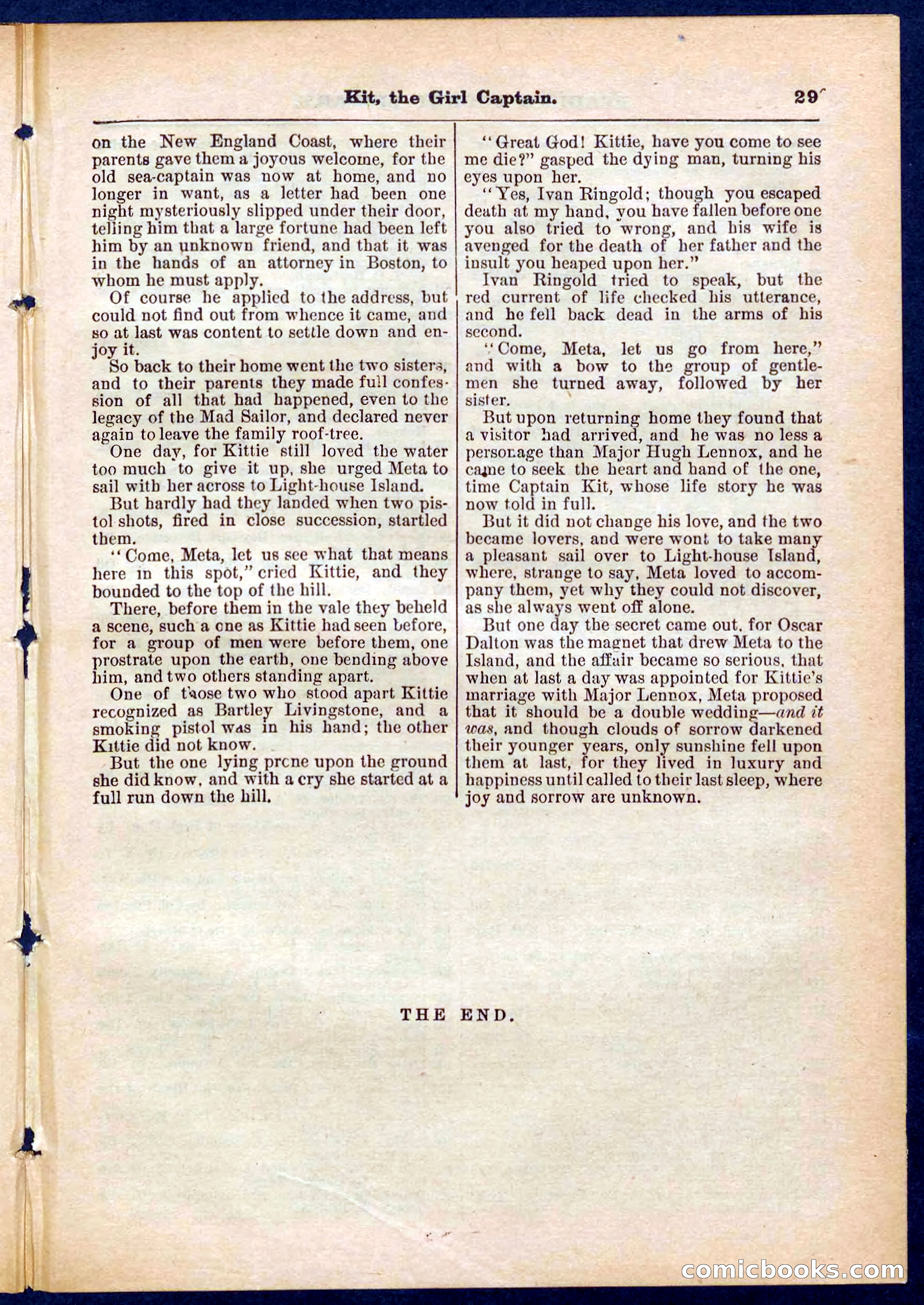 Beadle's Pocket Library No. 310 — page 29 of 32