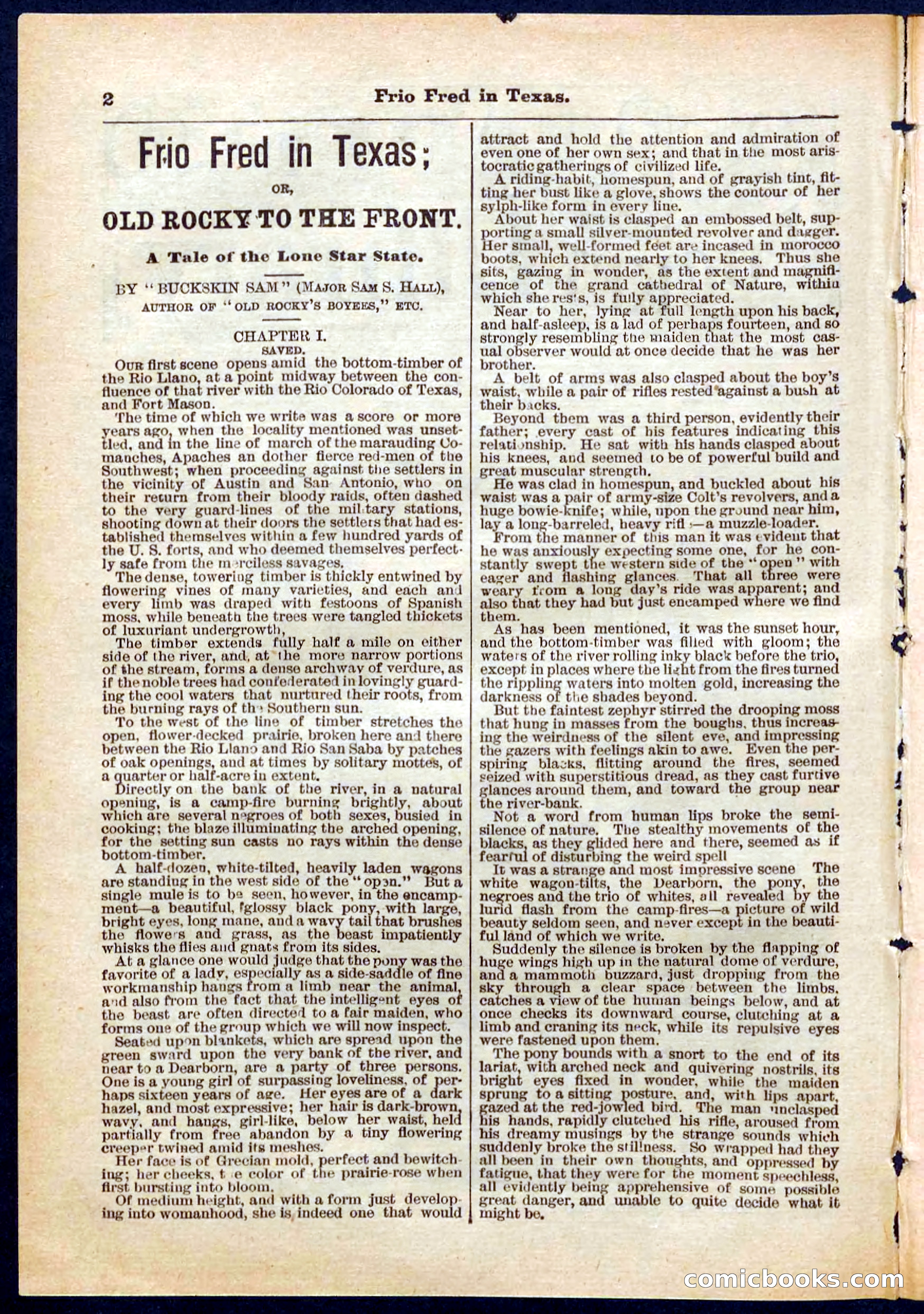 Beadle's Pocket Library No. 311 — page 2 of 32