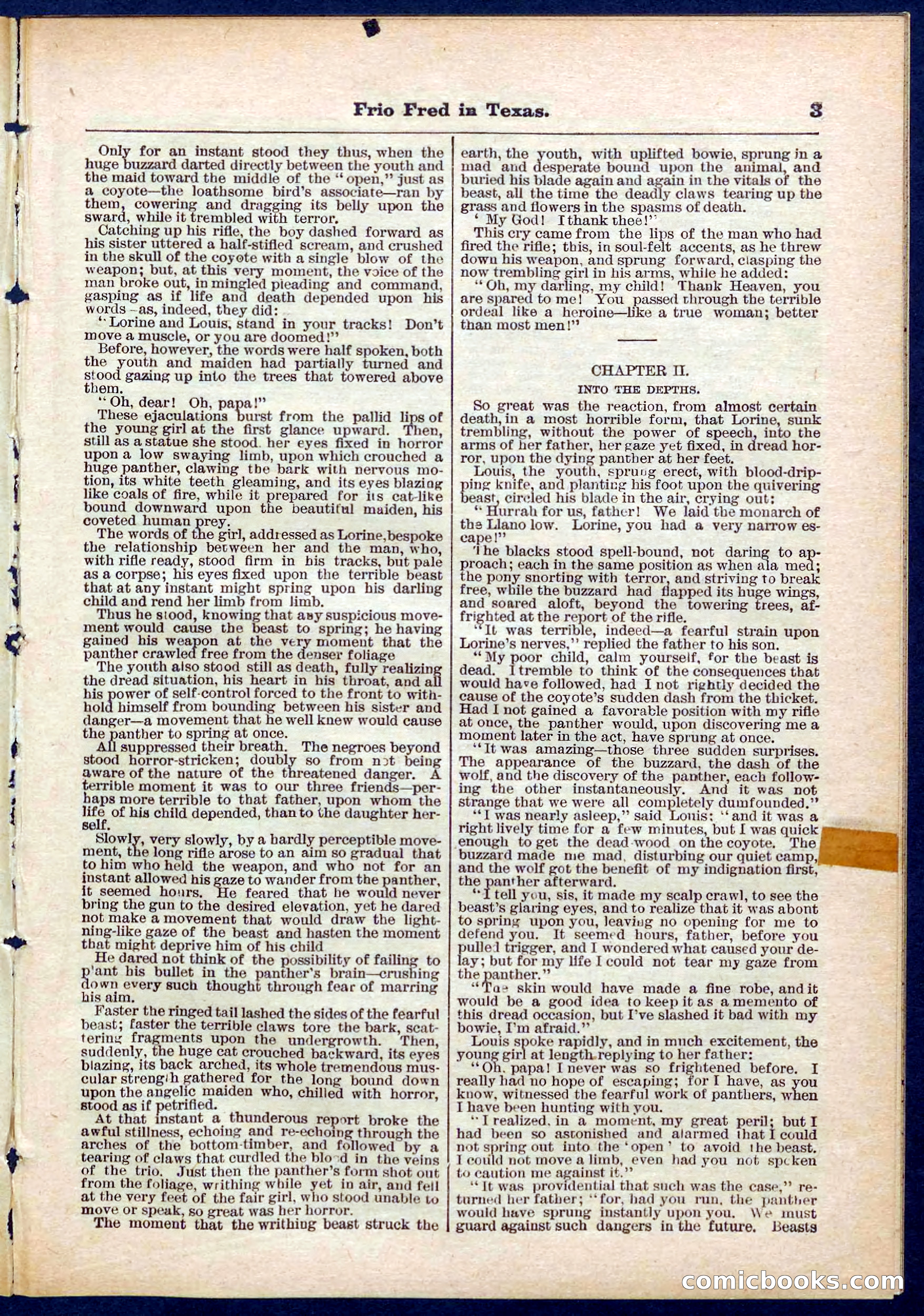Beadle's Pocket Library No. 311 — page 3 of 32