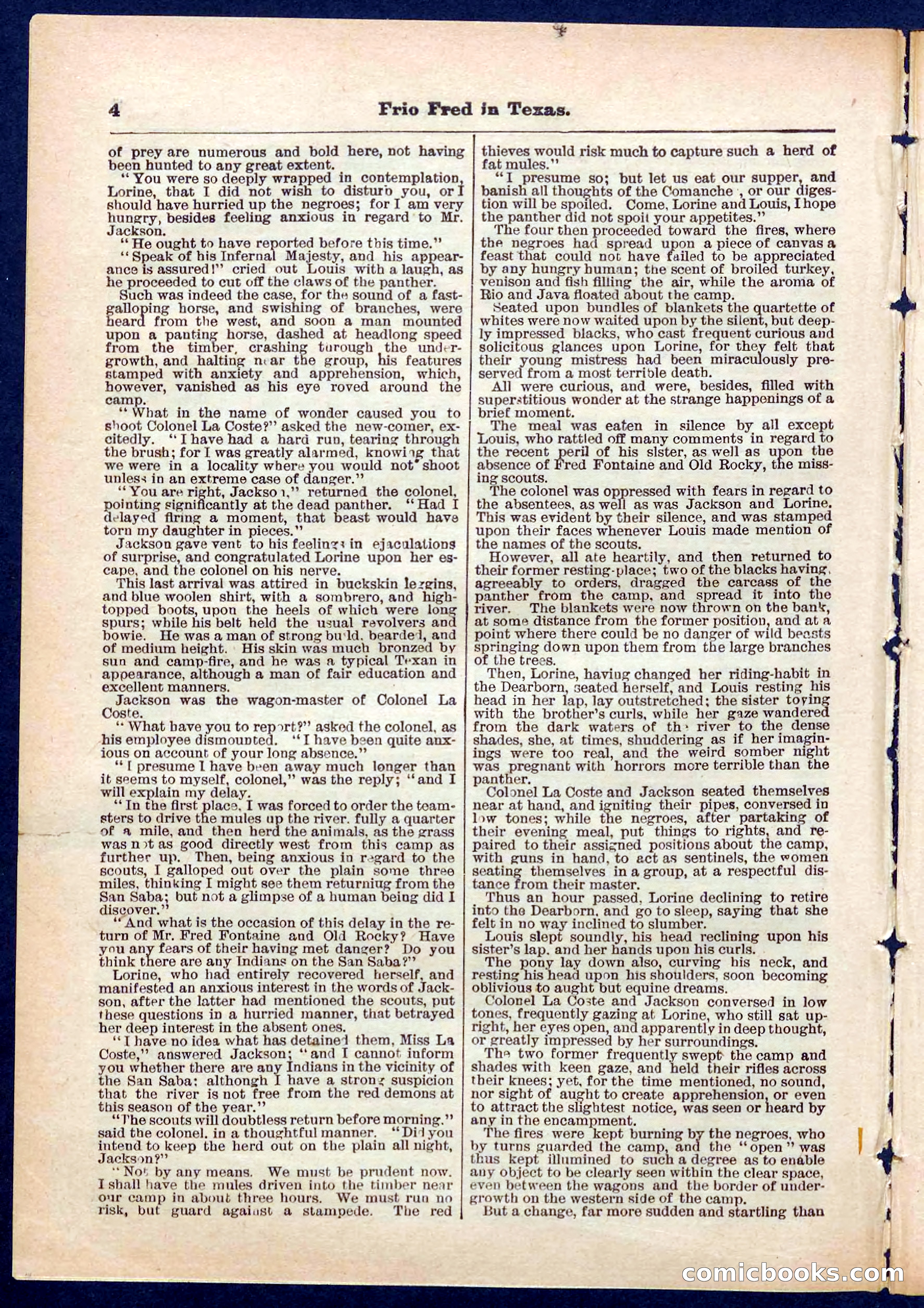 Beadle's Pocket Library No. 311 — page 4 of 32