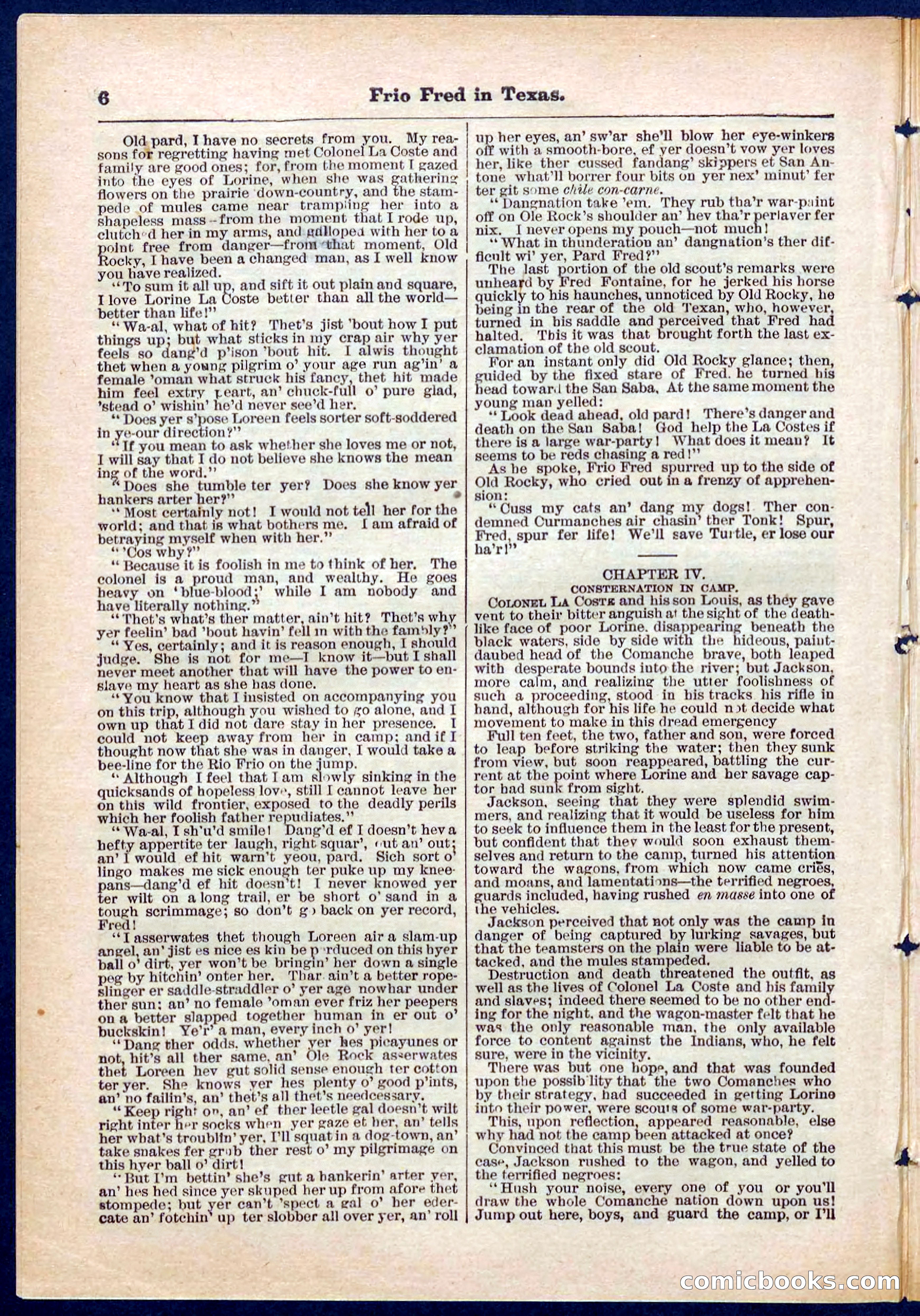 Beadle's Pocket Library No. 311 — page 6 of 32