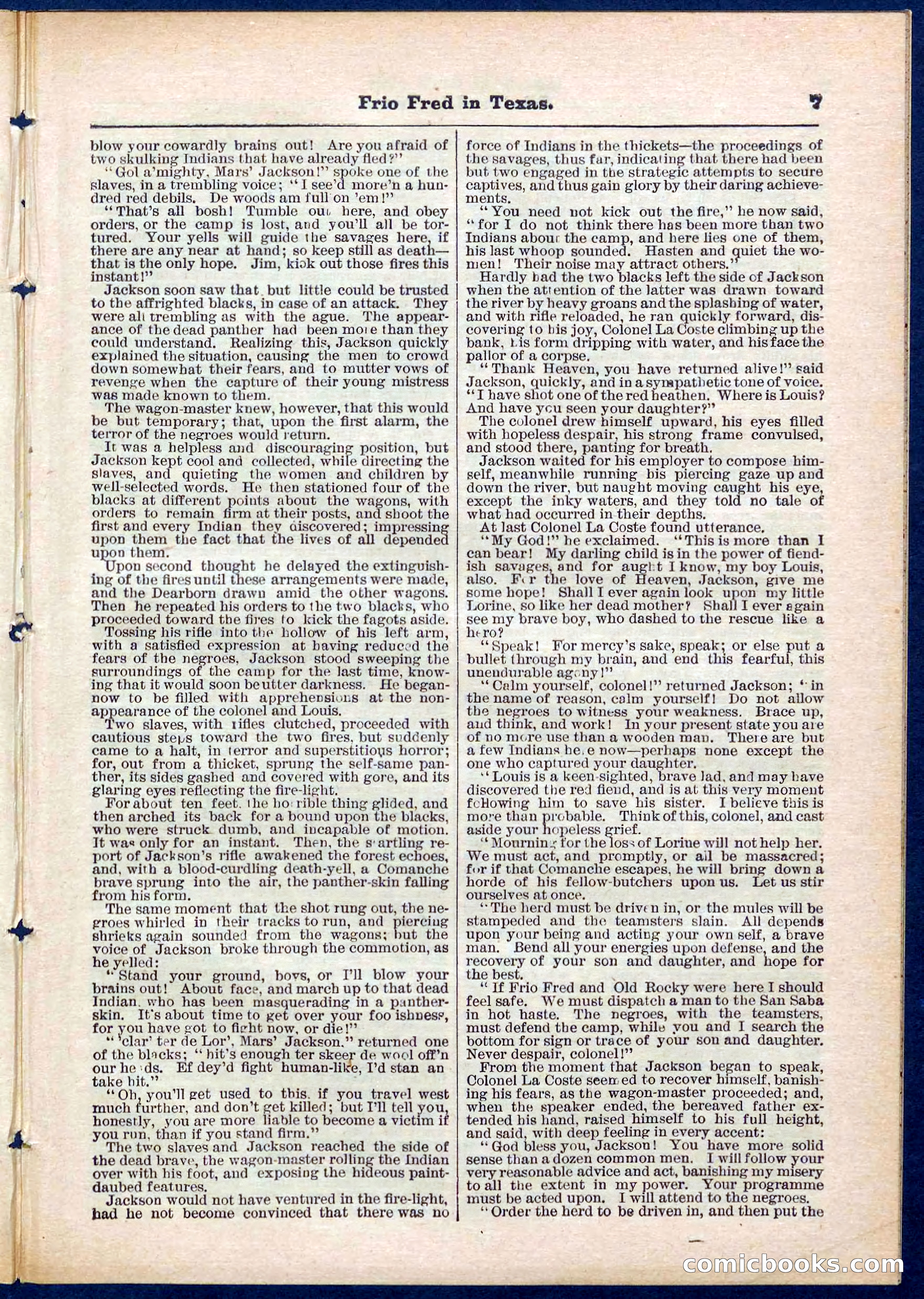 Beadle's Pocket Library No. 311 — page 7 of 32