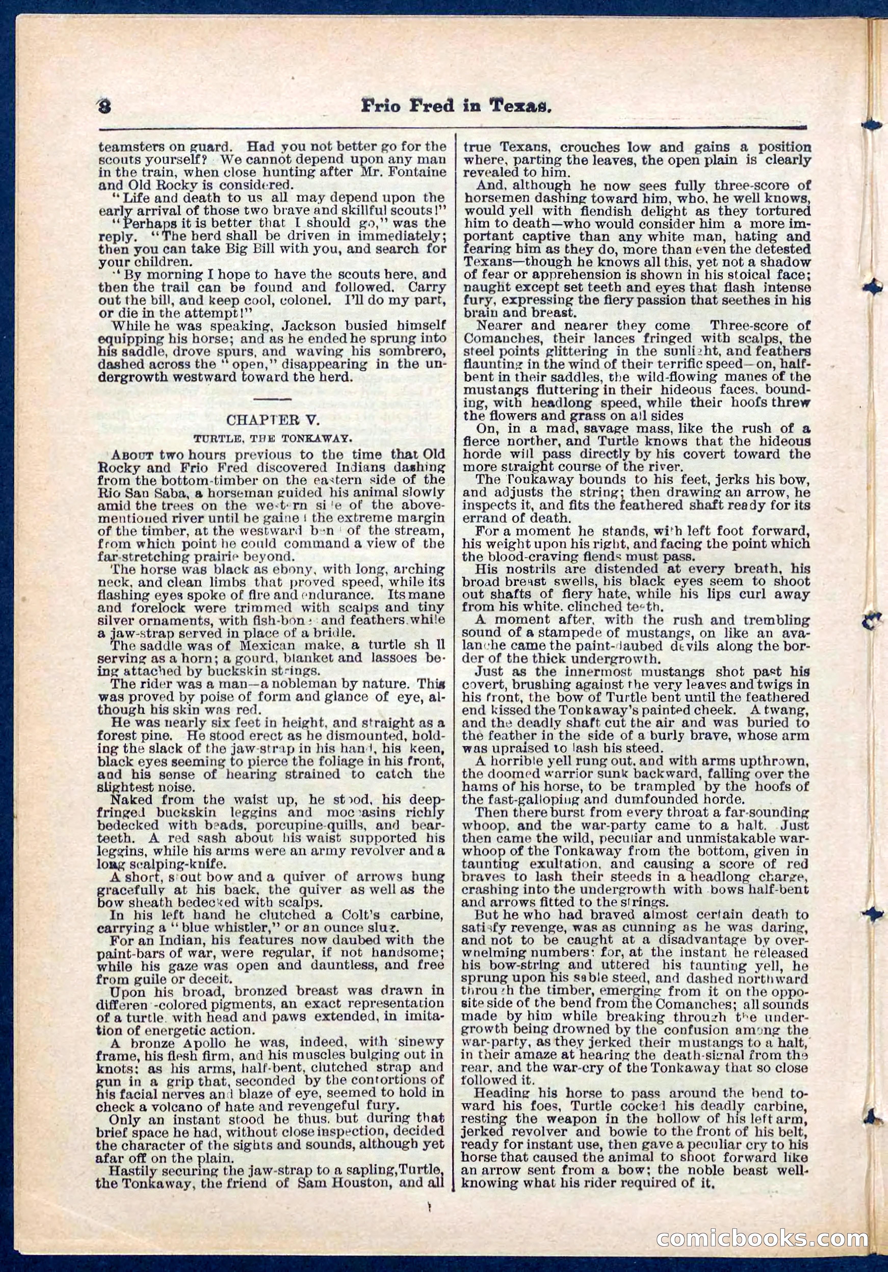 Beadle's Pocket Library No. 311 — page 8 of 32
