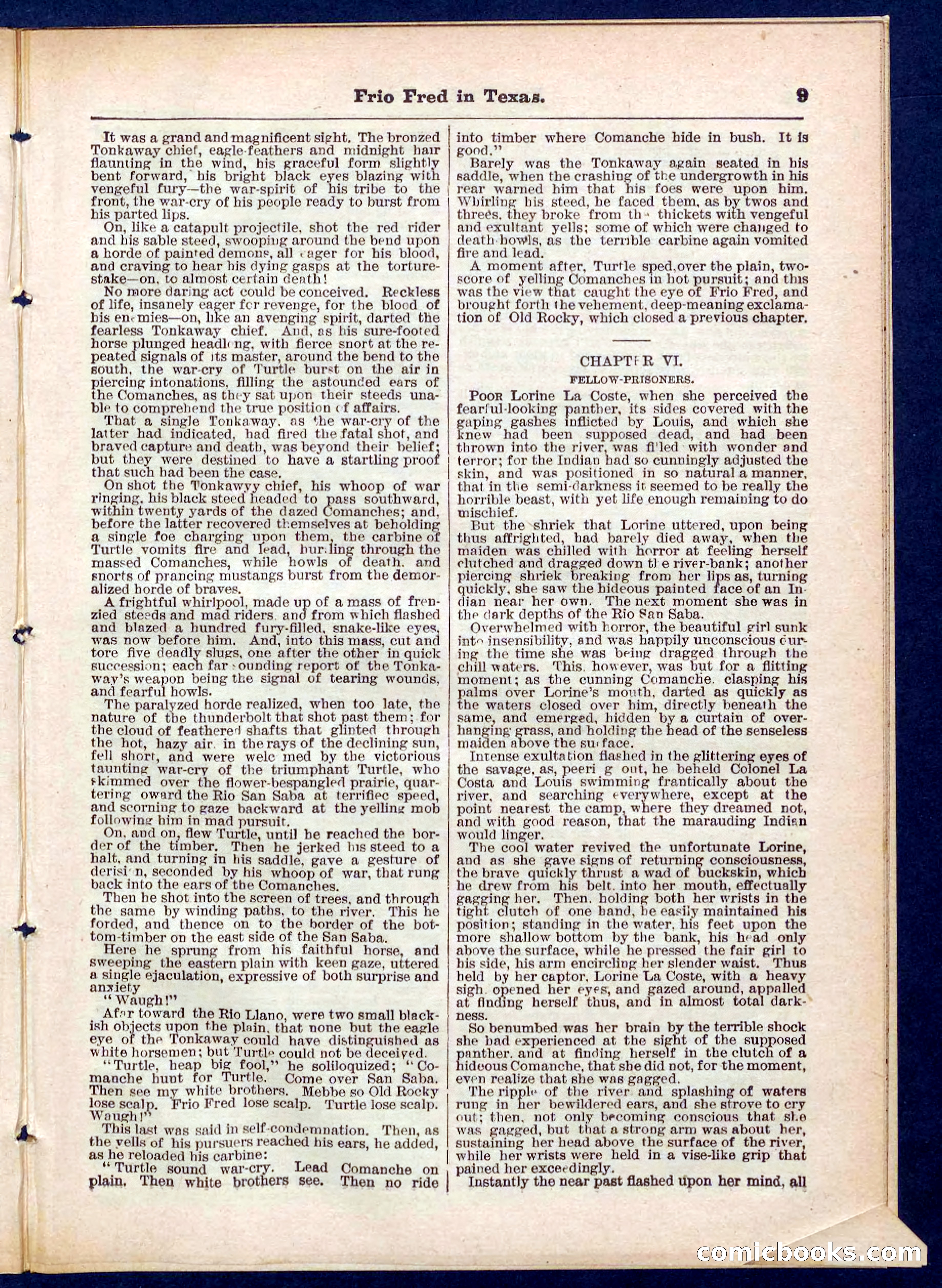 Beadle's Pocket Library No. 311 — page 9 of 32