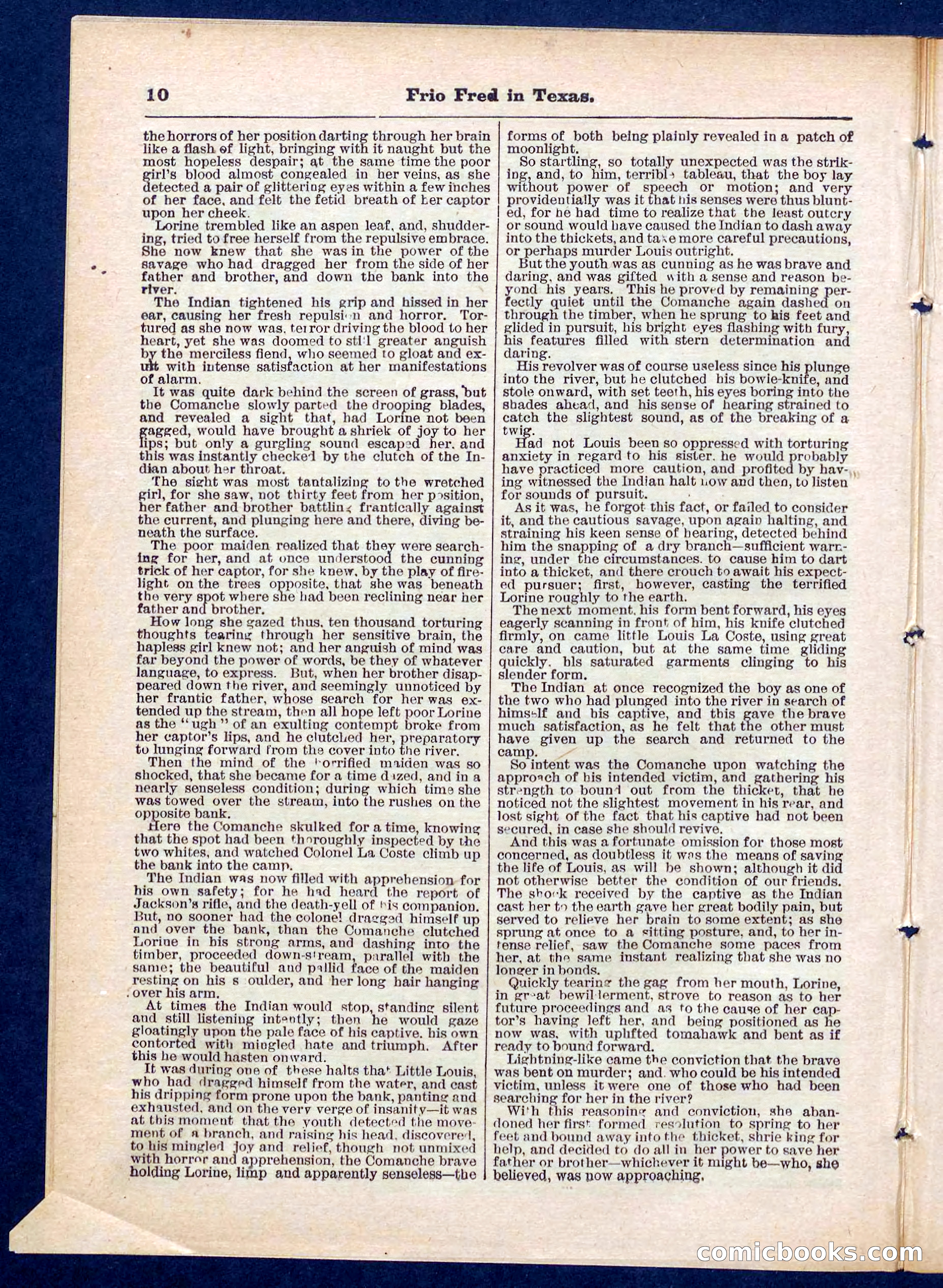 Beadle's Pocket Library No. 311 — page 10 of 32