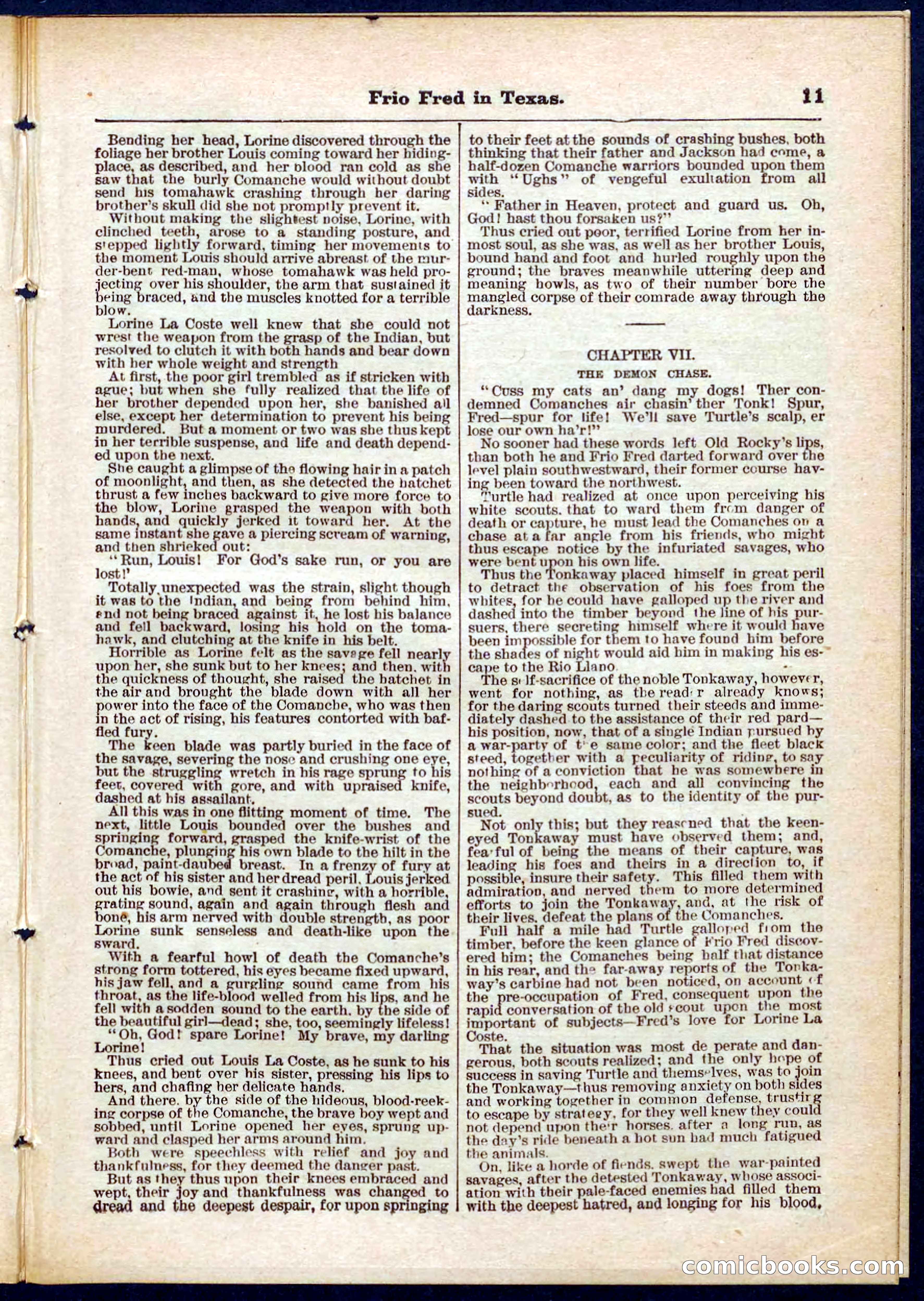 Beadle's Pocket Library No. 311 — page 11 of 32