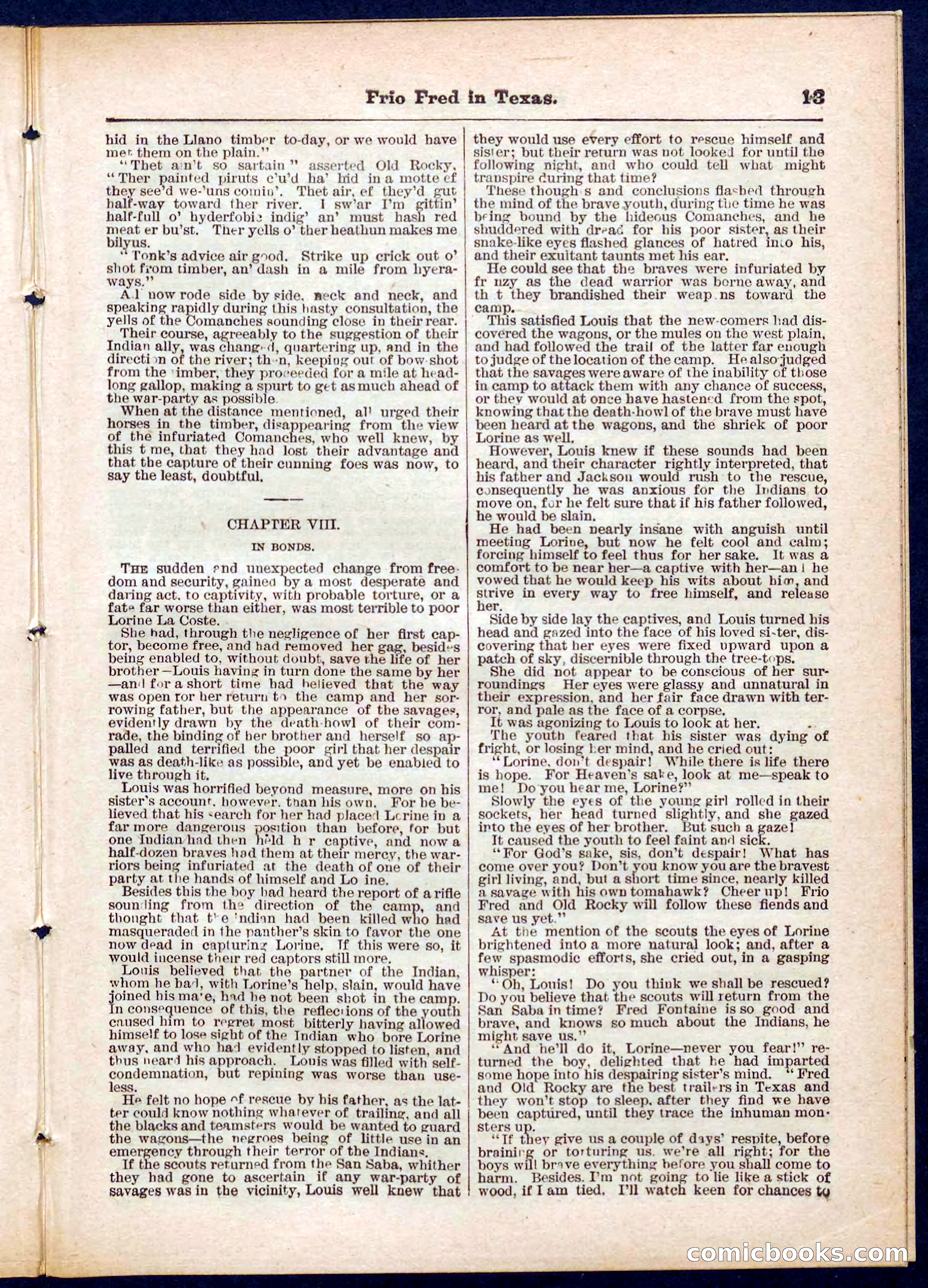 Beadle's Pocket Library No. 311 — page 13 of 32