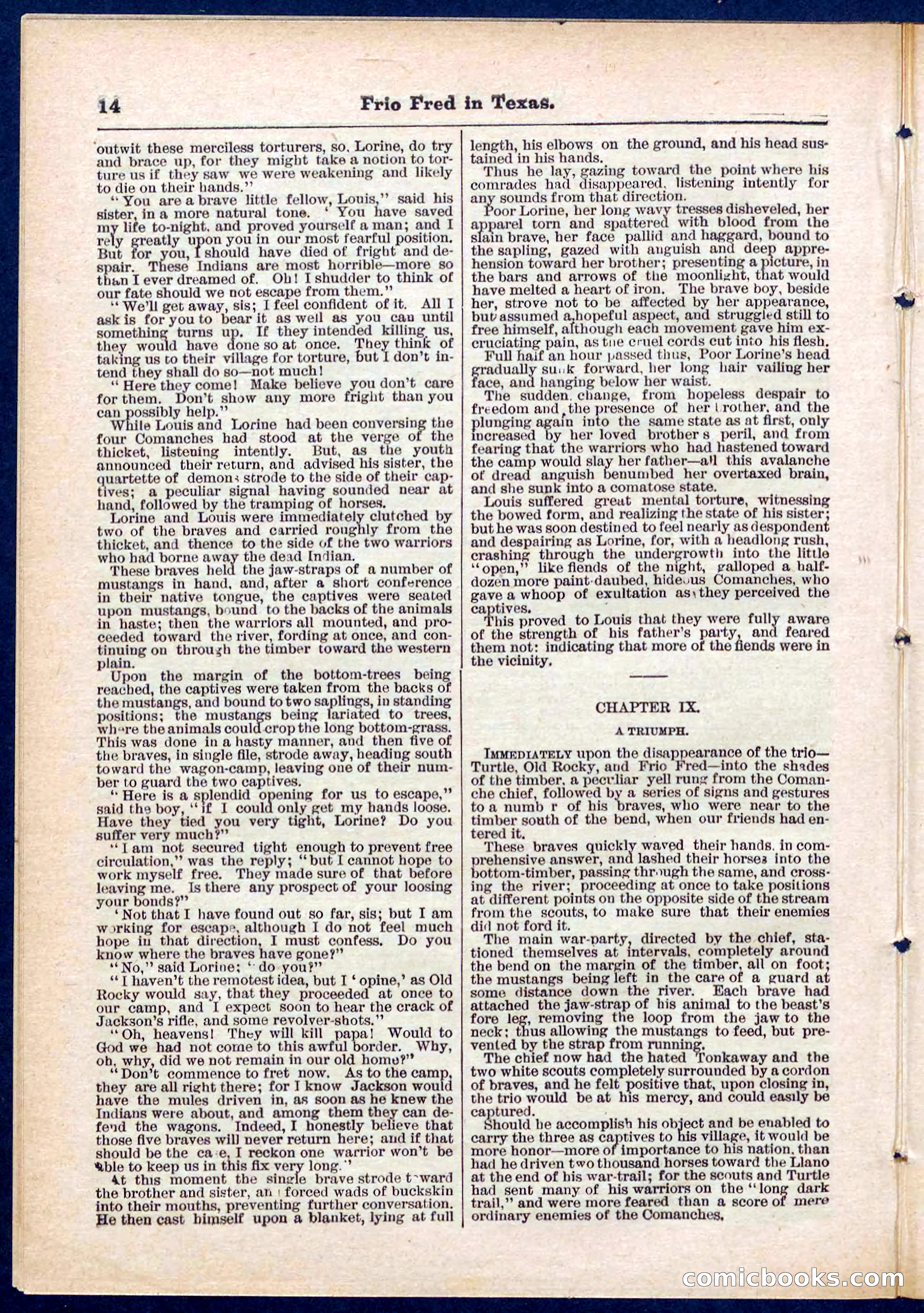Beadle's Pocket Library No. 311 — page 14 of 32