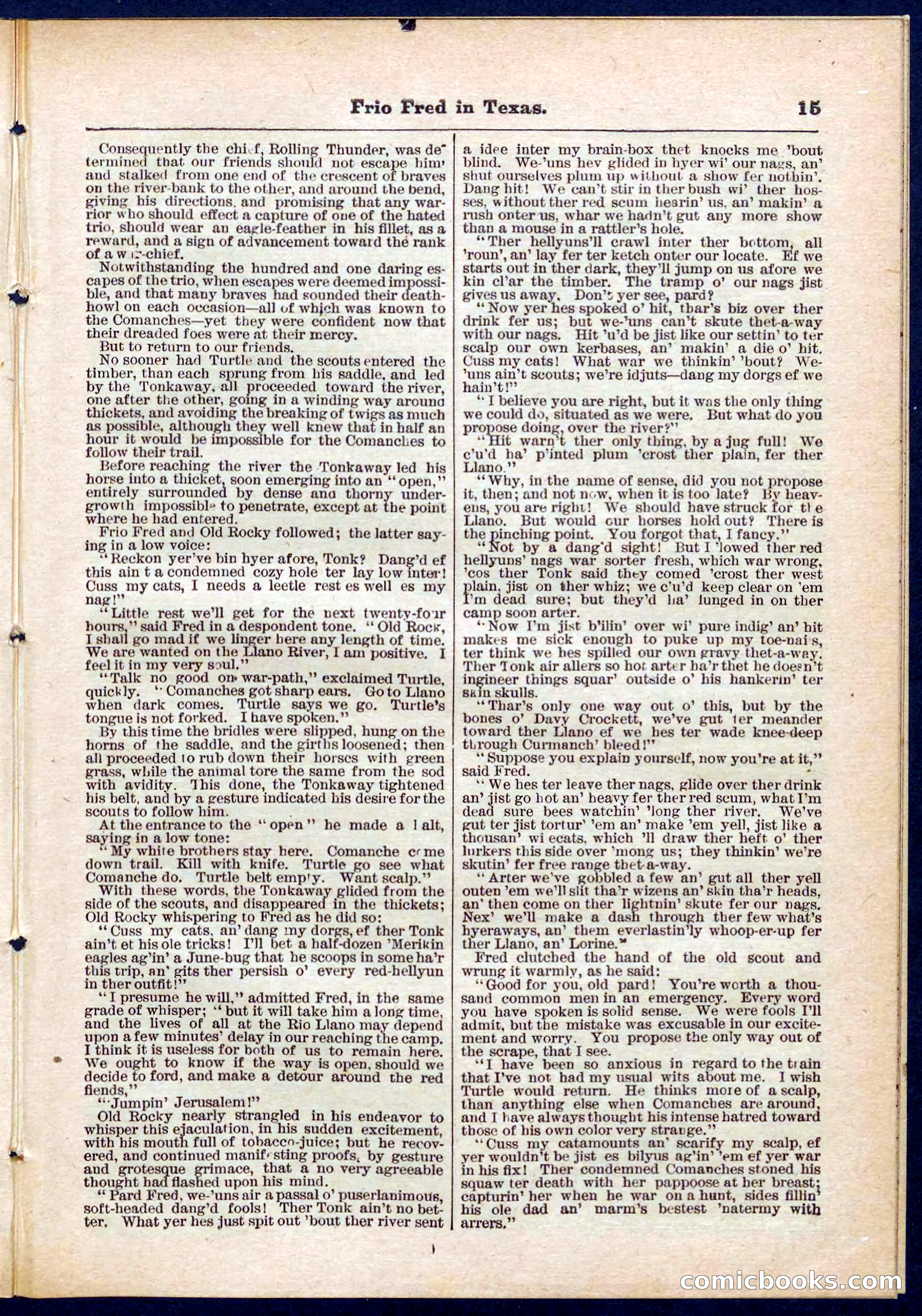 Beadle's Pocket Library No. 311 — page 15 of 32