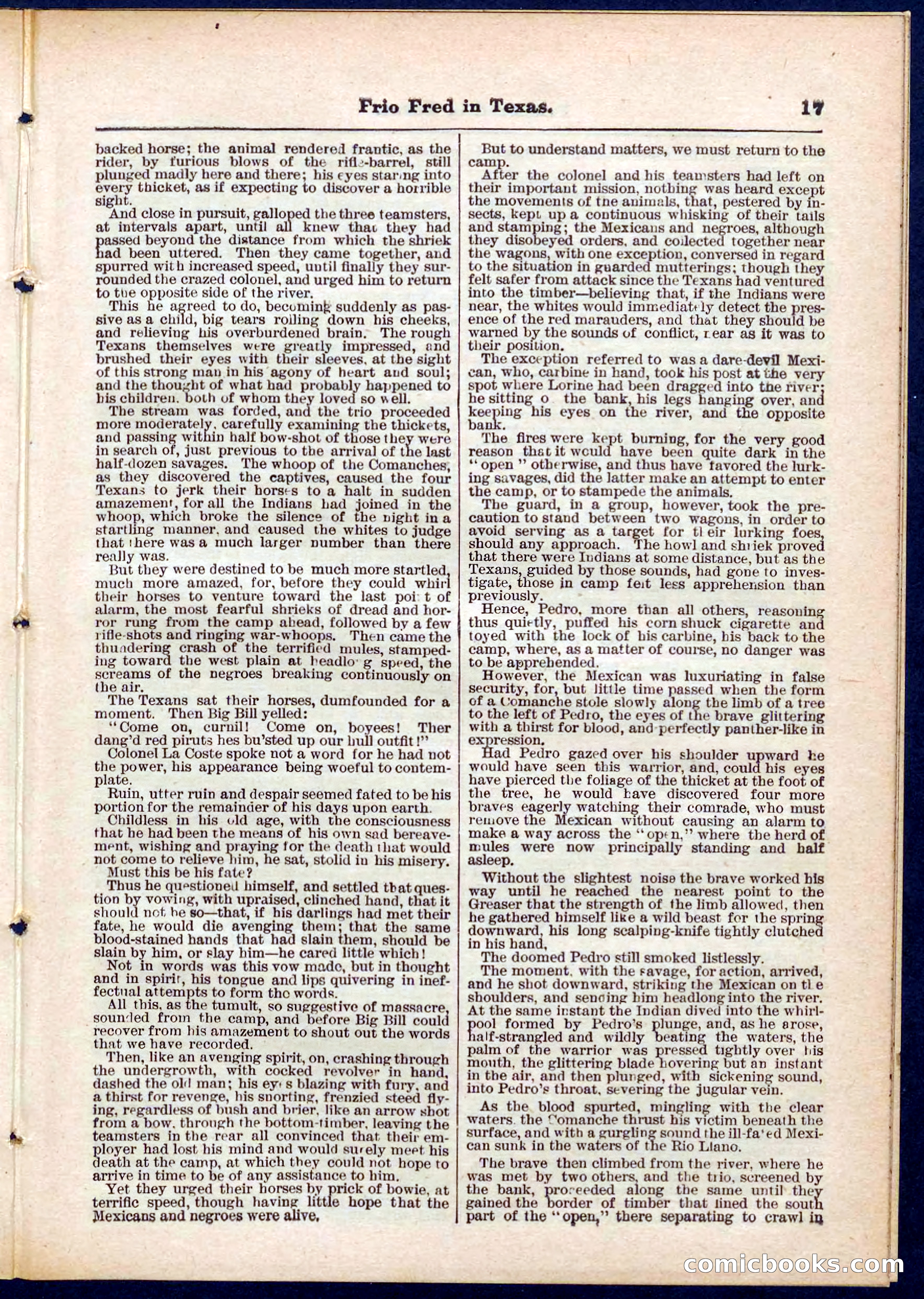 Beadle's Pocket Library No. 311 — page 17 of 32