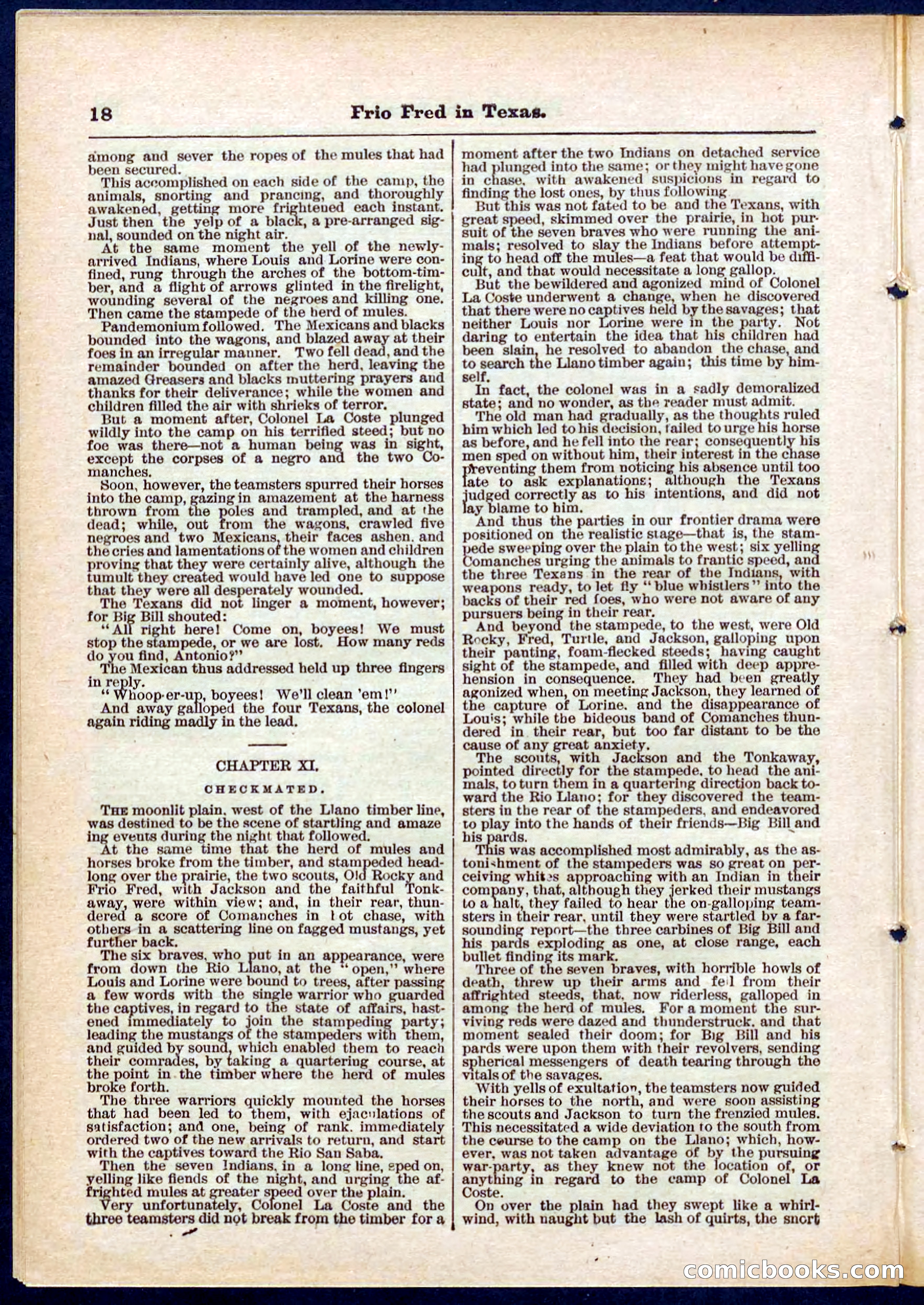 Beadle's Pocket Library No. 311 — page 18 of 32