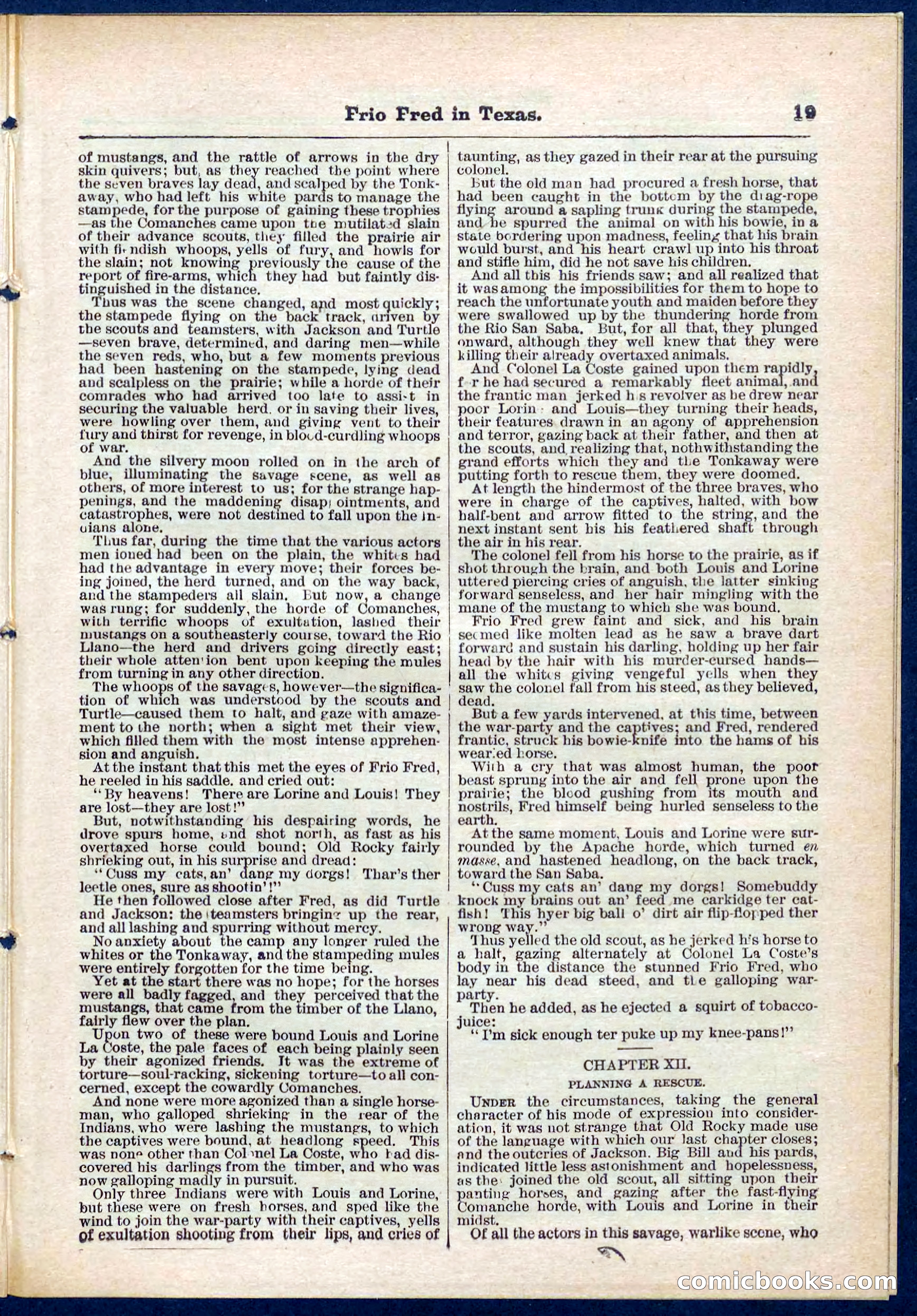 Beadle's Pocket Library No. 311 — page 19 of 32