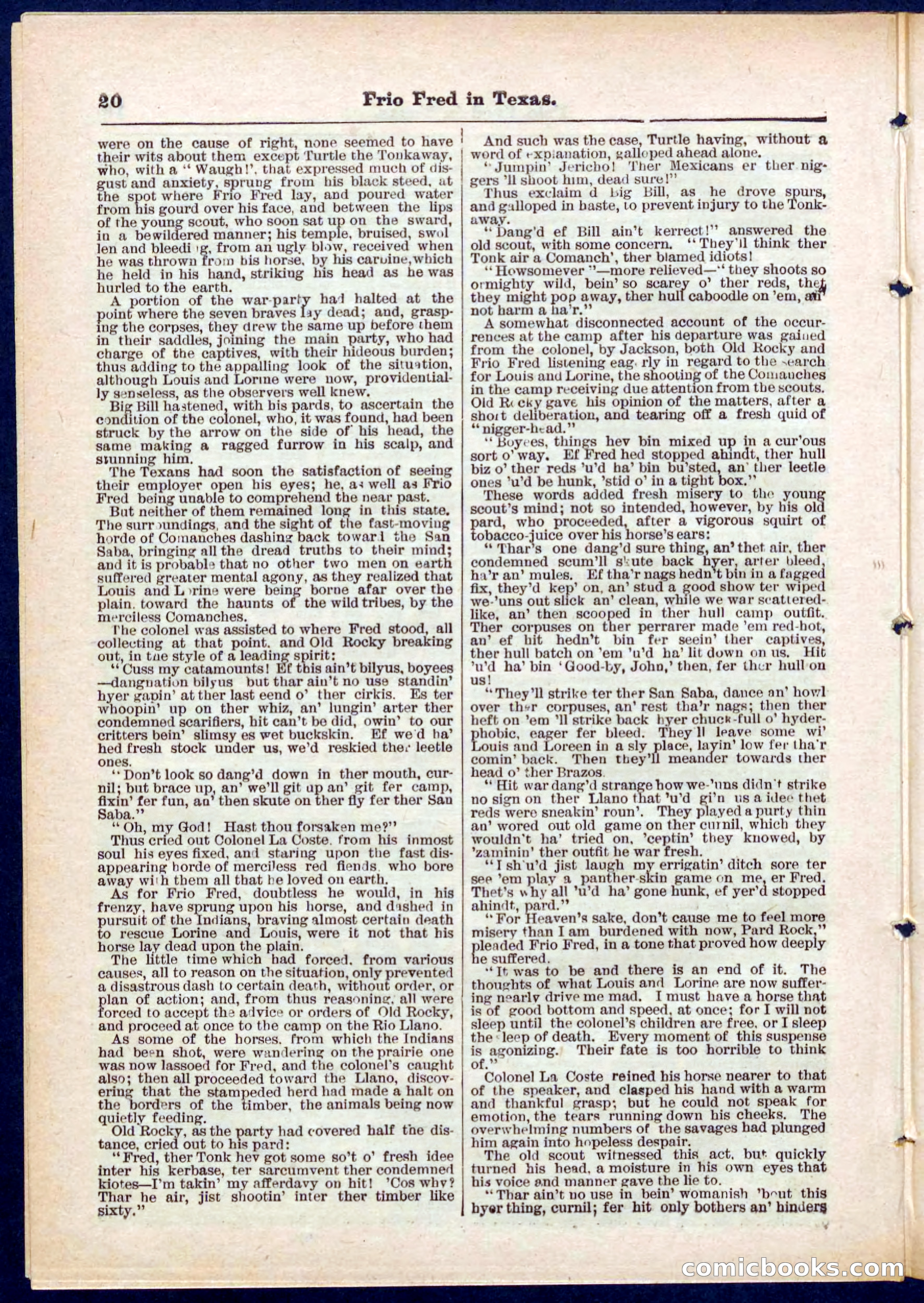 Beadle's Pocket Library No. 311 — page 20 of 32