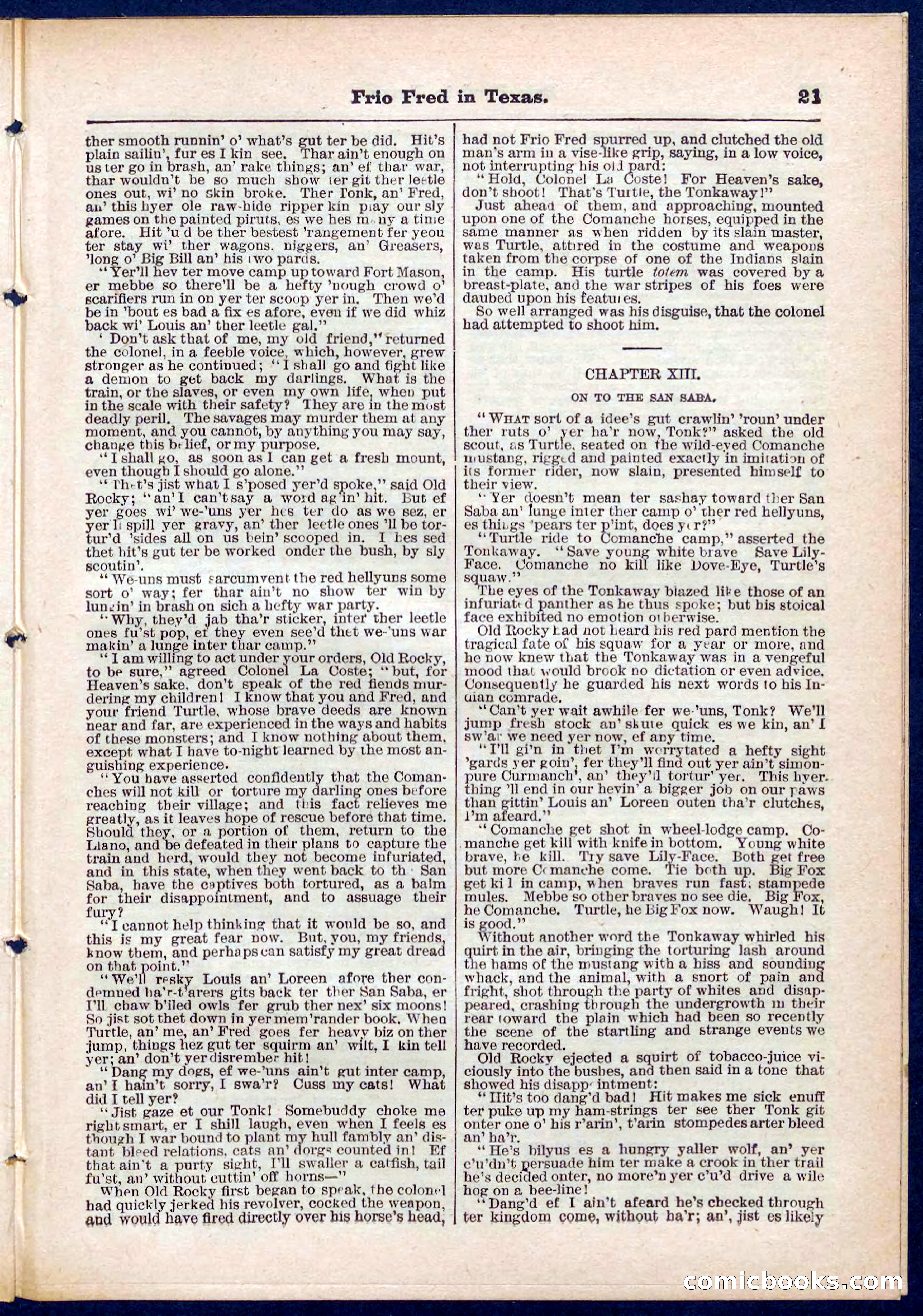 Beadle's Pocket Library No. 311 — page 21 of 32