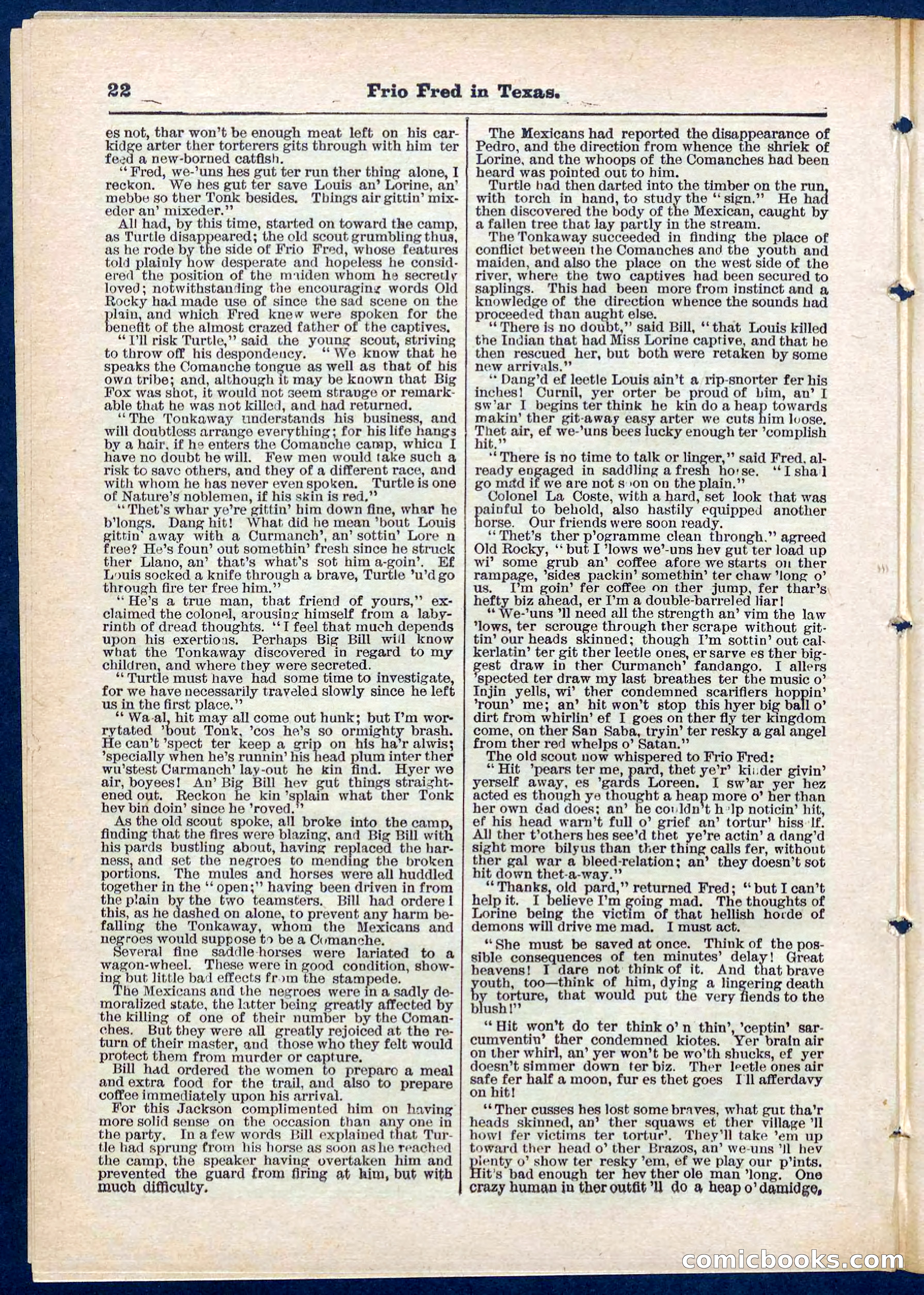 Beadle's Pocket Library No. 311 — page 22 of 32