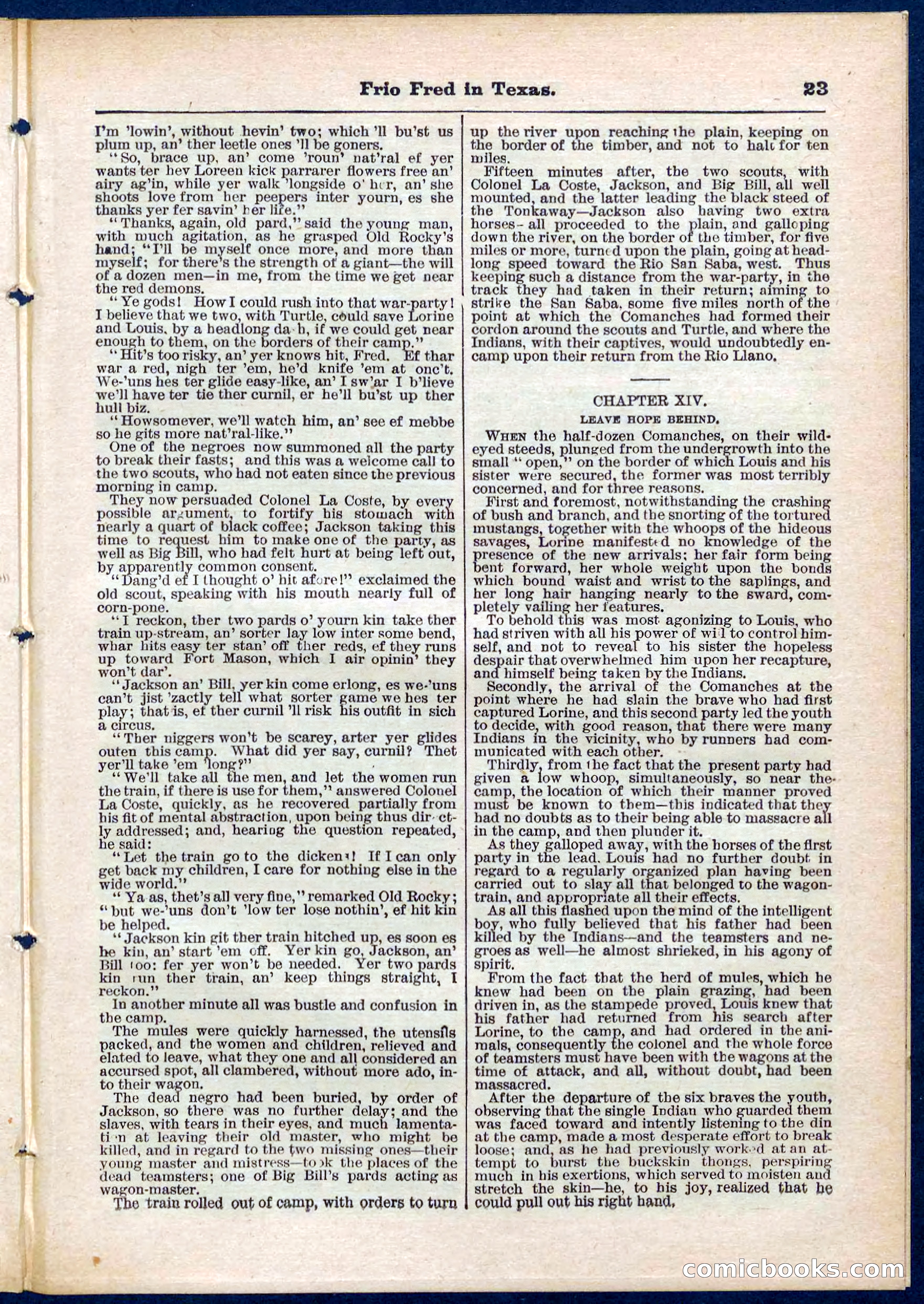 Beadle's Pocket Library No. 311 — page 23 of 32