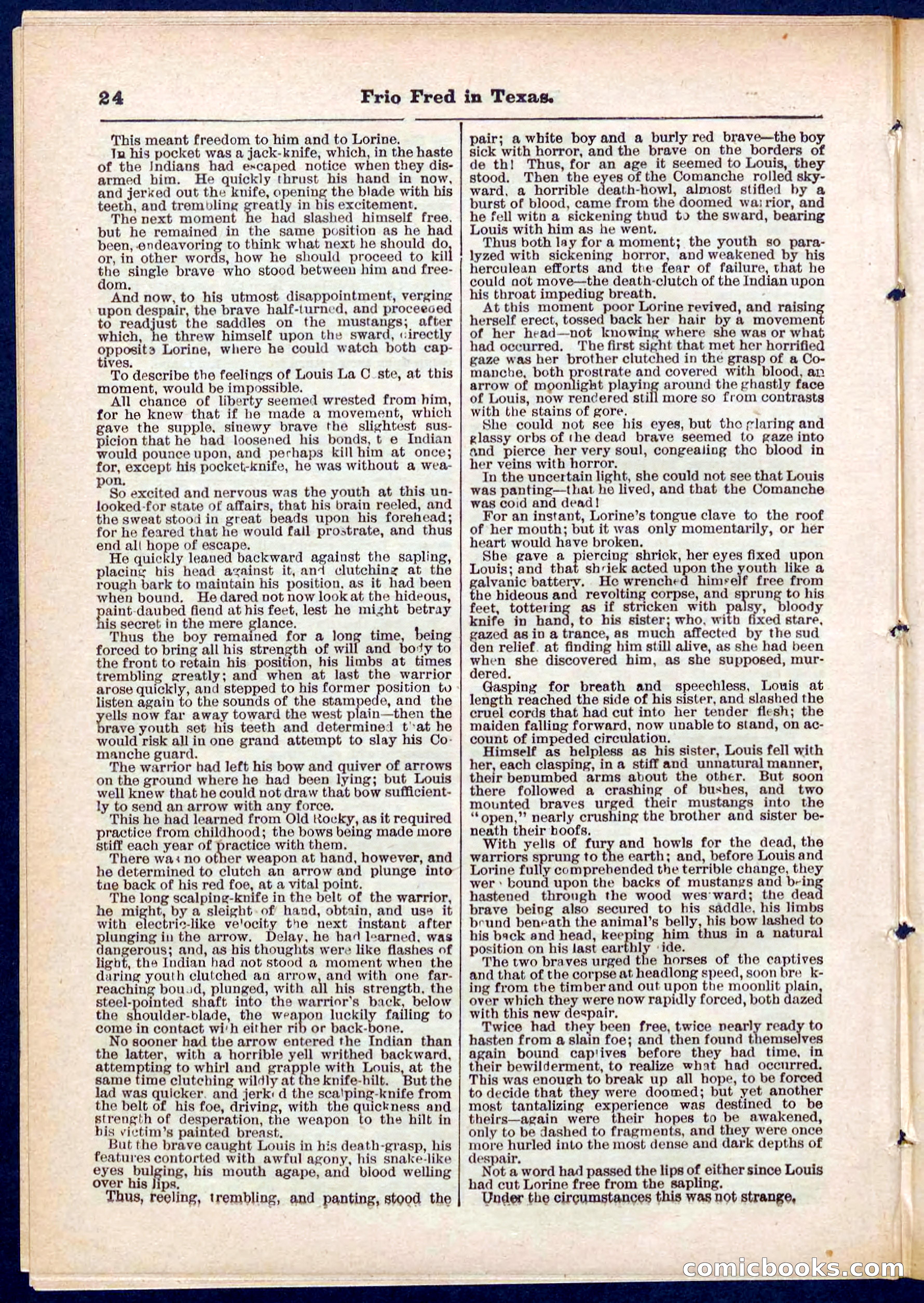 Beadle's Pocket Library No. 311 — page 24 of 32