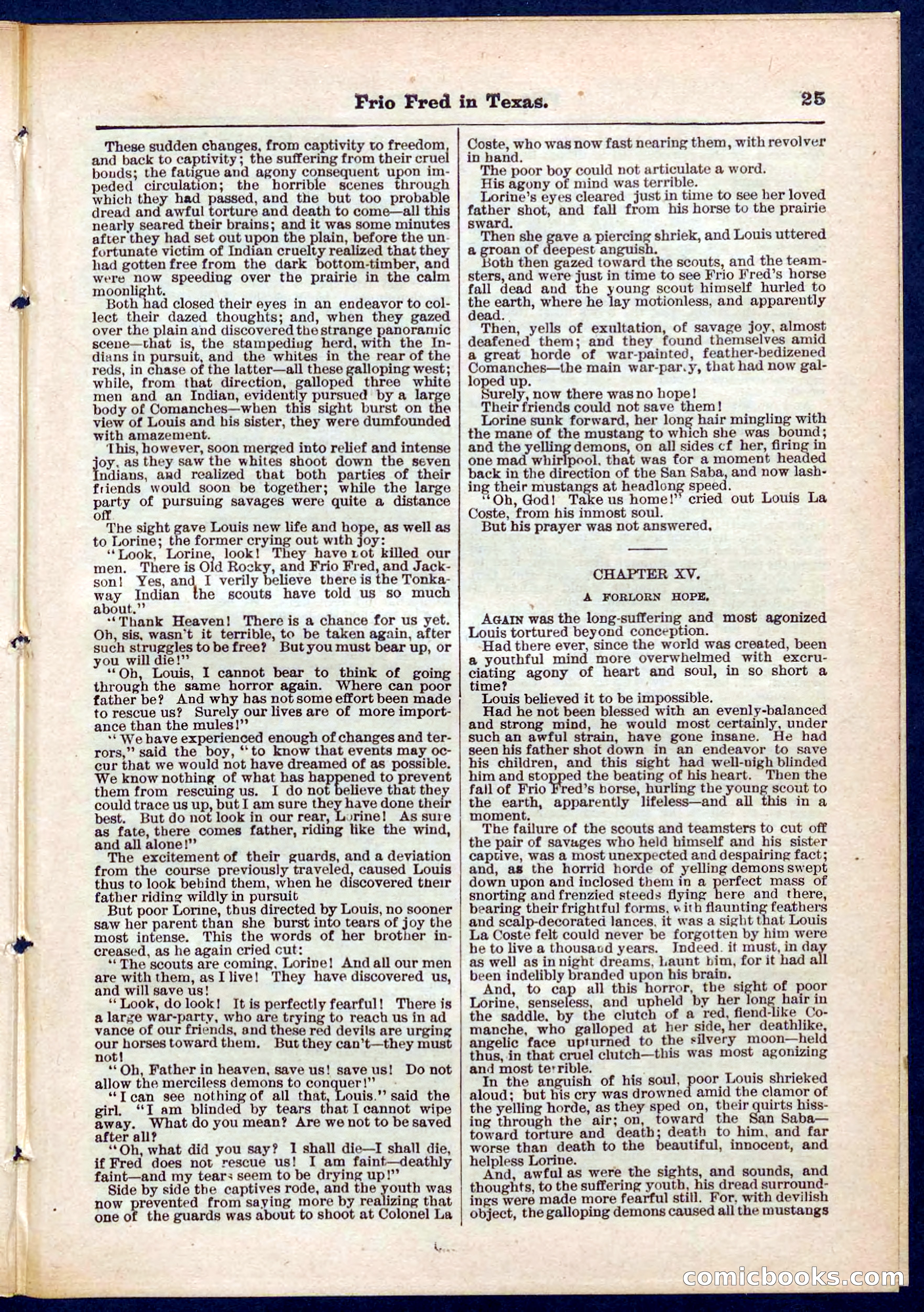 Beadle's Pocket Library No. 311 — page 25 of 32