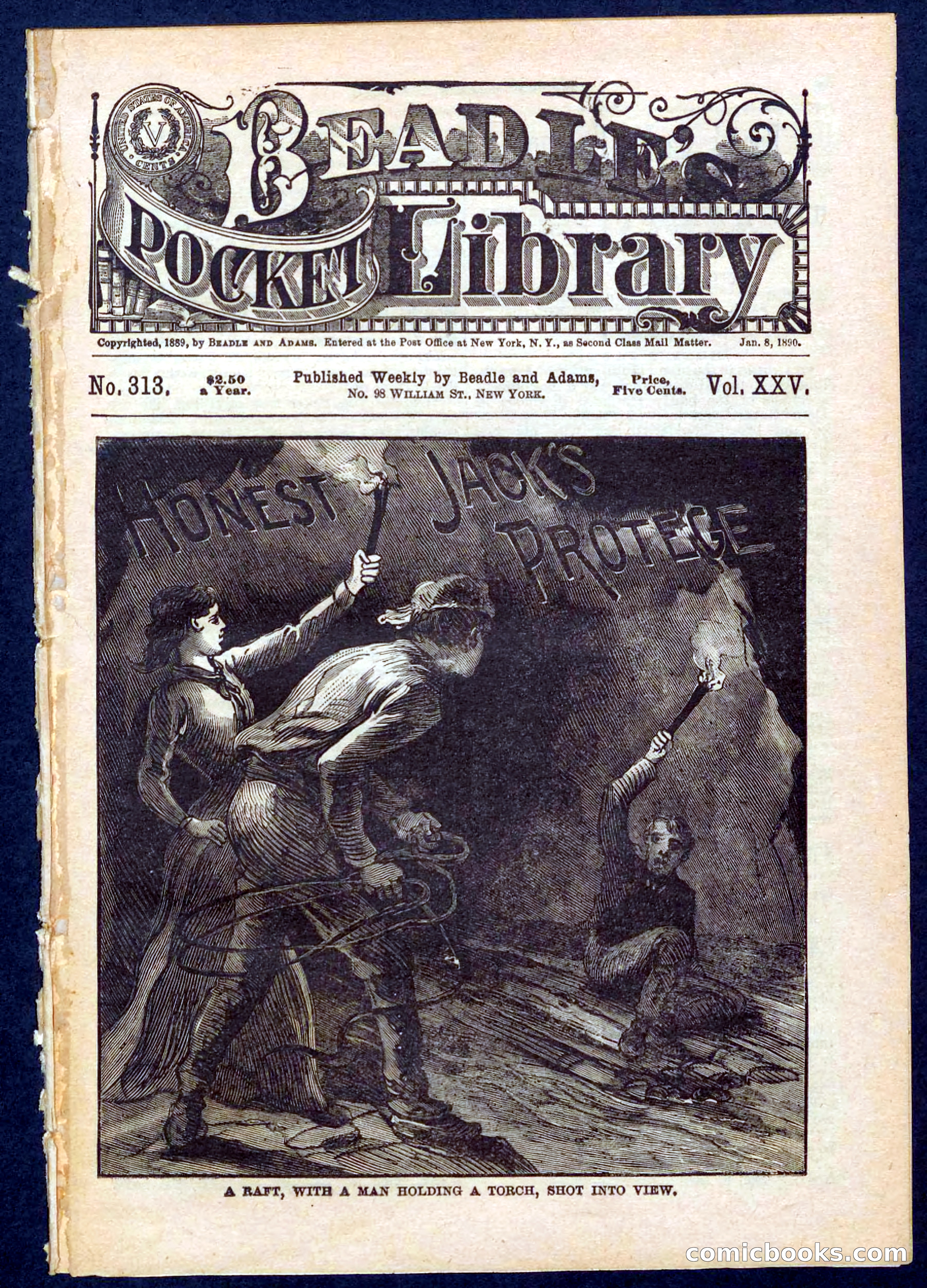 Beadle's Pocket Library No. 313 — page 1 of 32