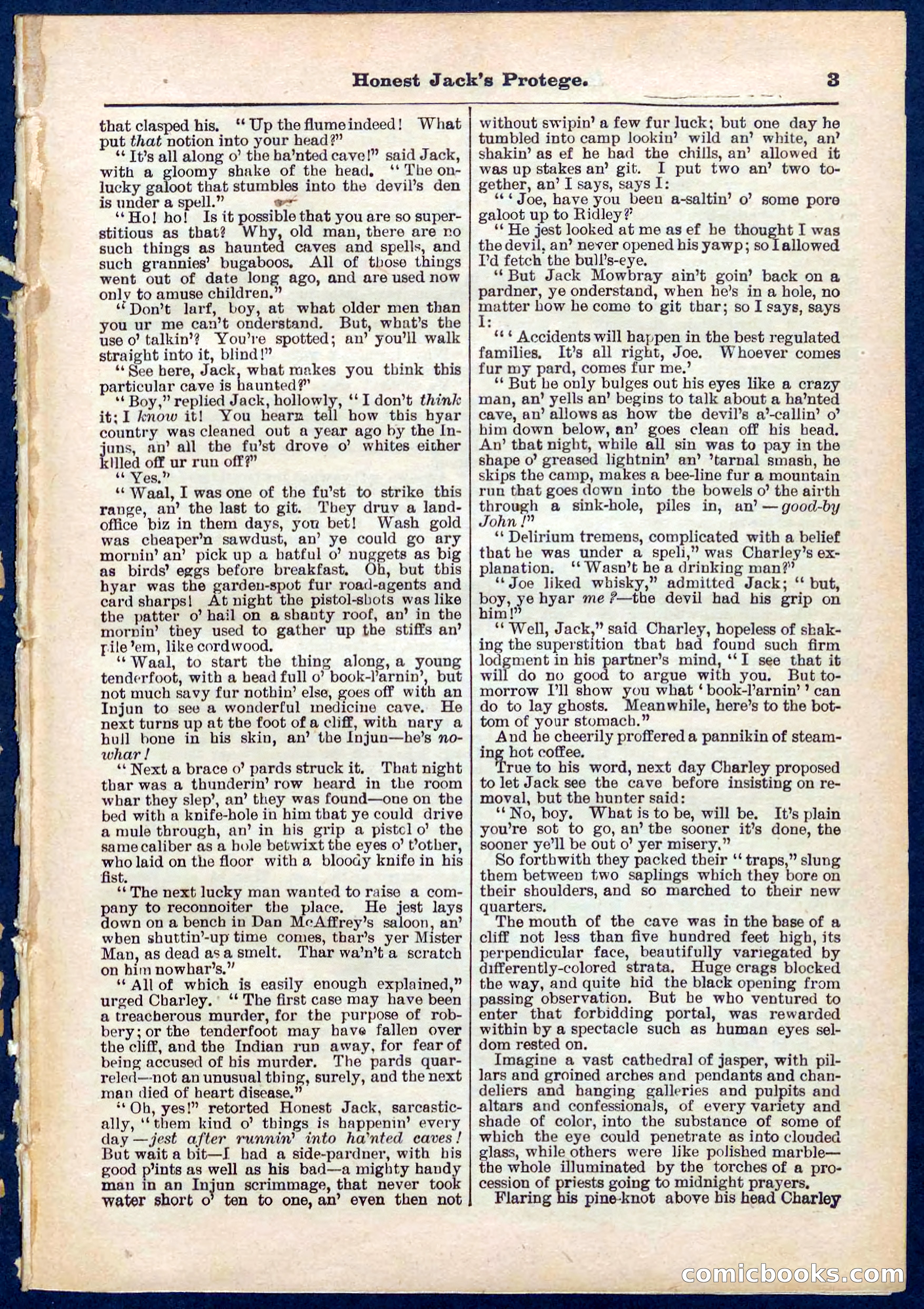 Beadle's Pocket Library No. 313 — page 3 of 32