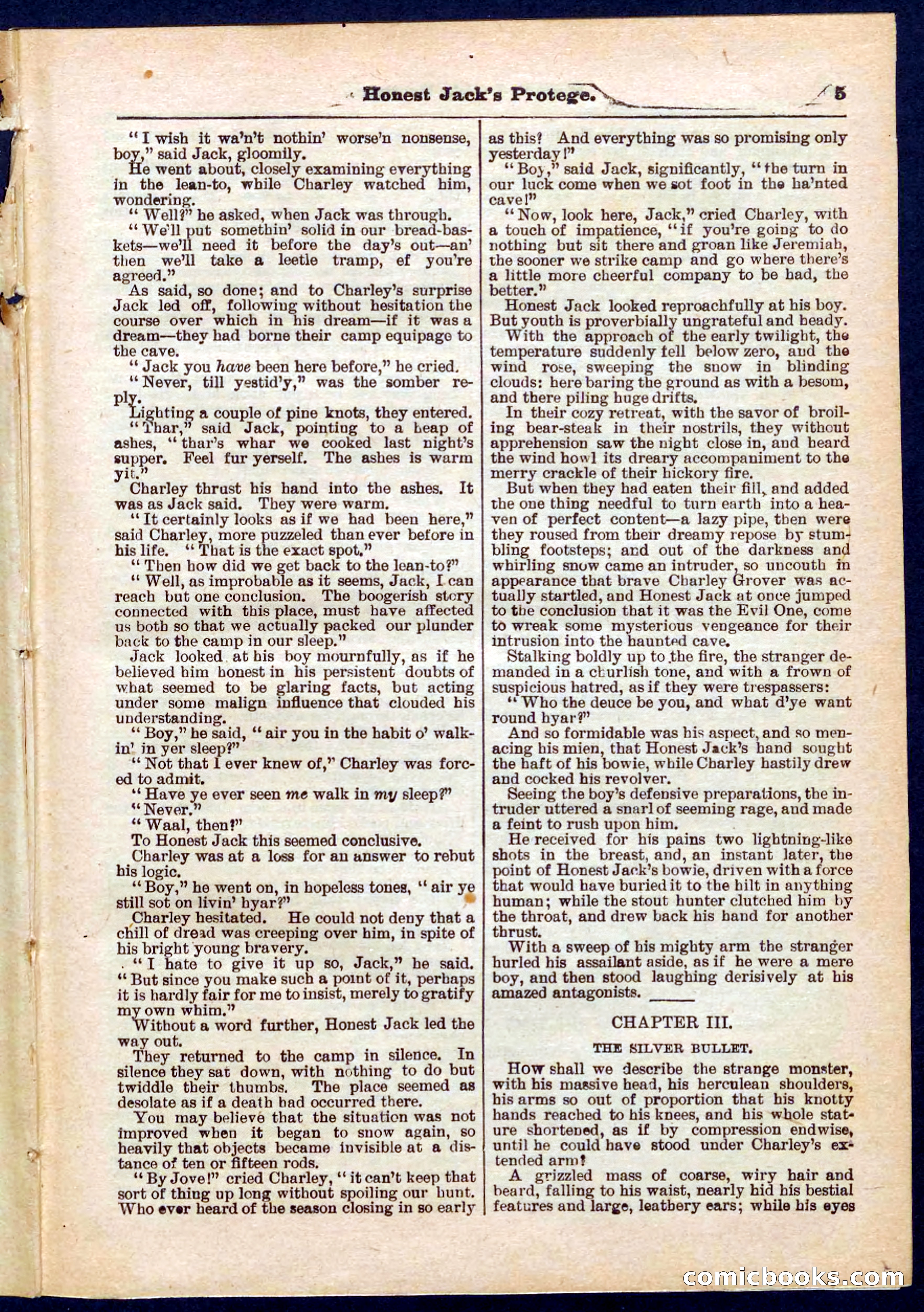 Beadle's Pocket Library No. 313 — page 5 of 32