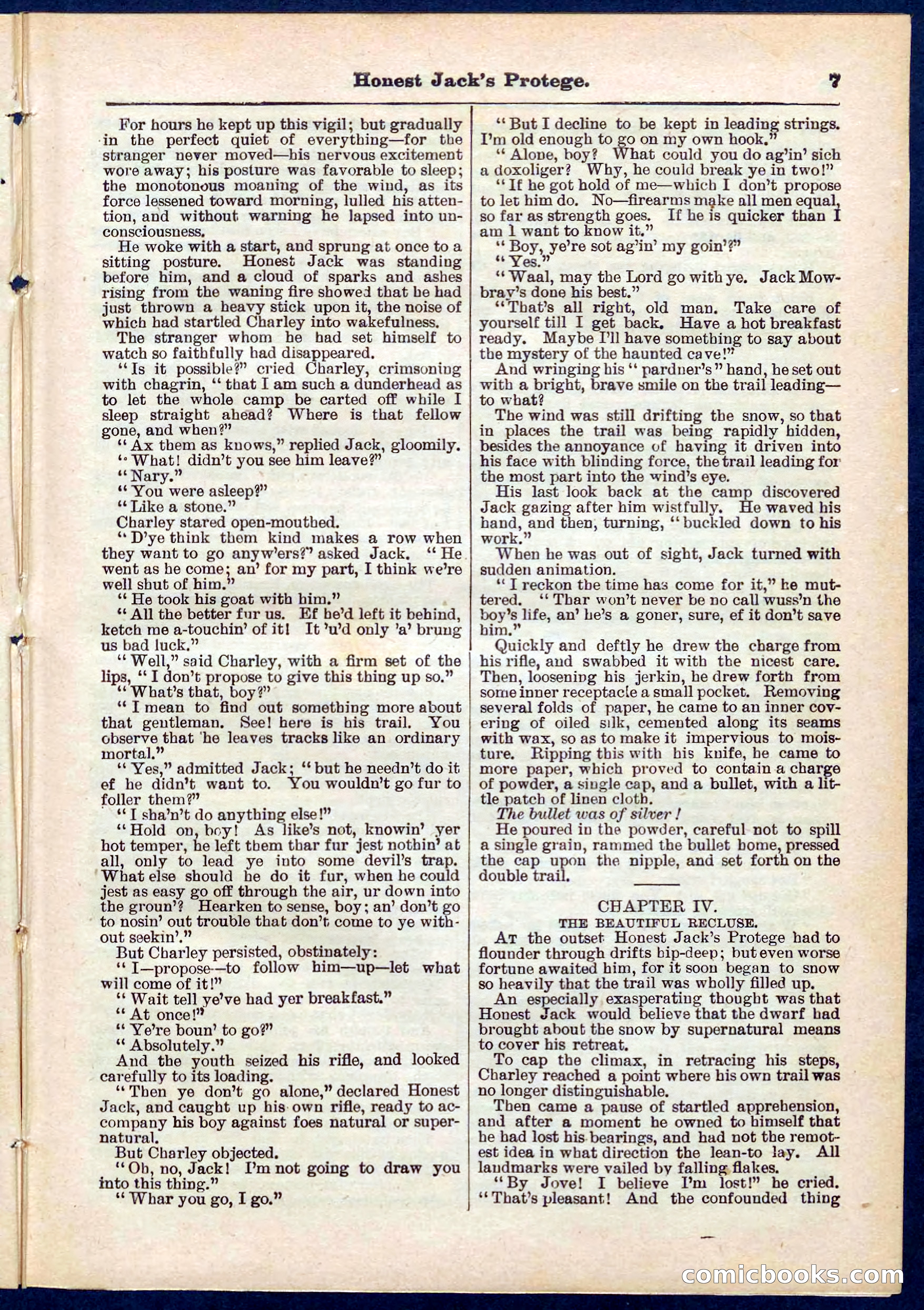 Beadle's Pocket Library No. 313 — page 7 of 32