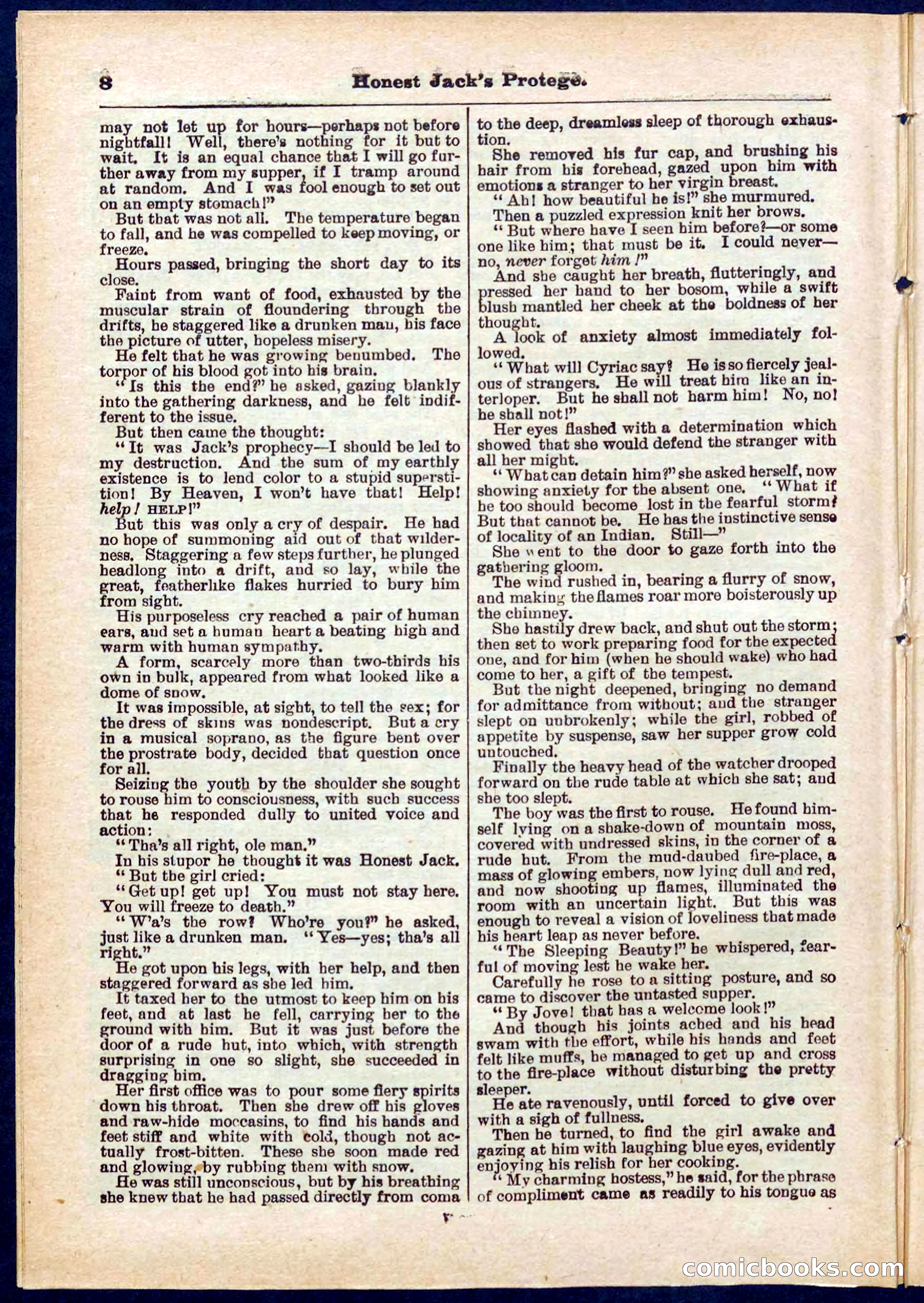 Beadle's Pocket Library No. 313 — page 8 of 32