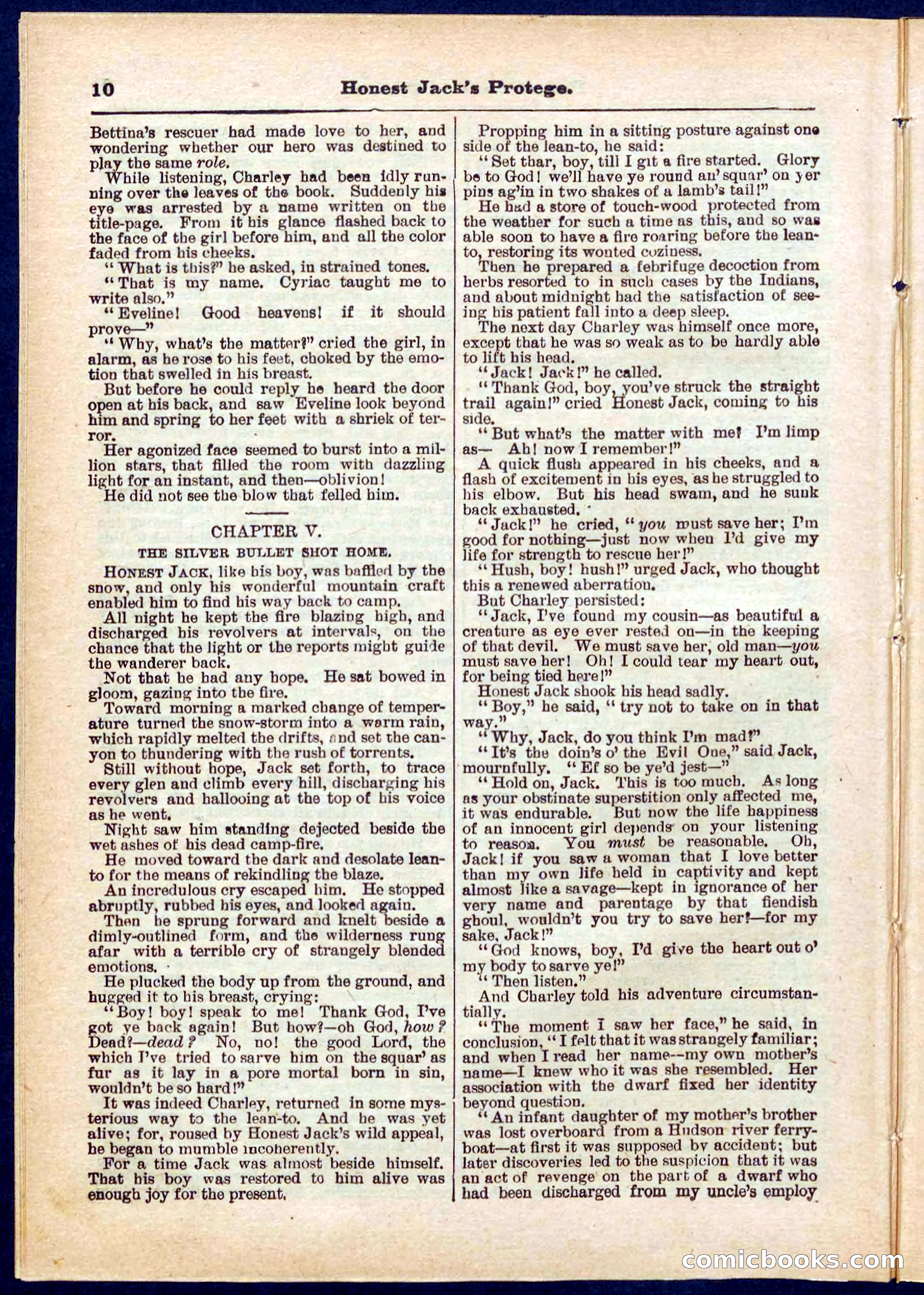 Beadle's Pocket Library No. 313 — page 10 of 32