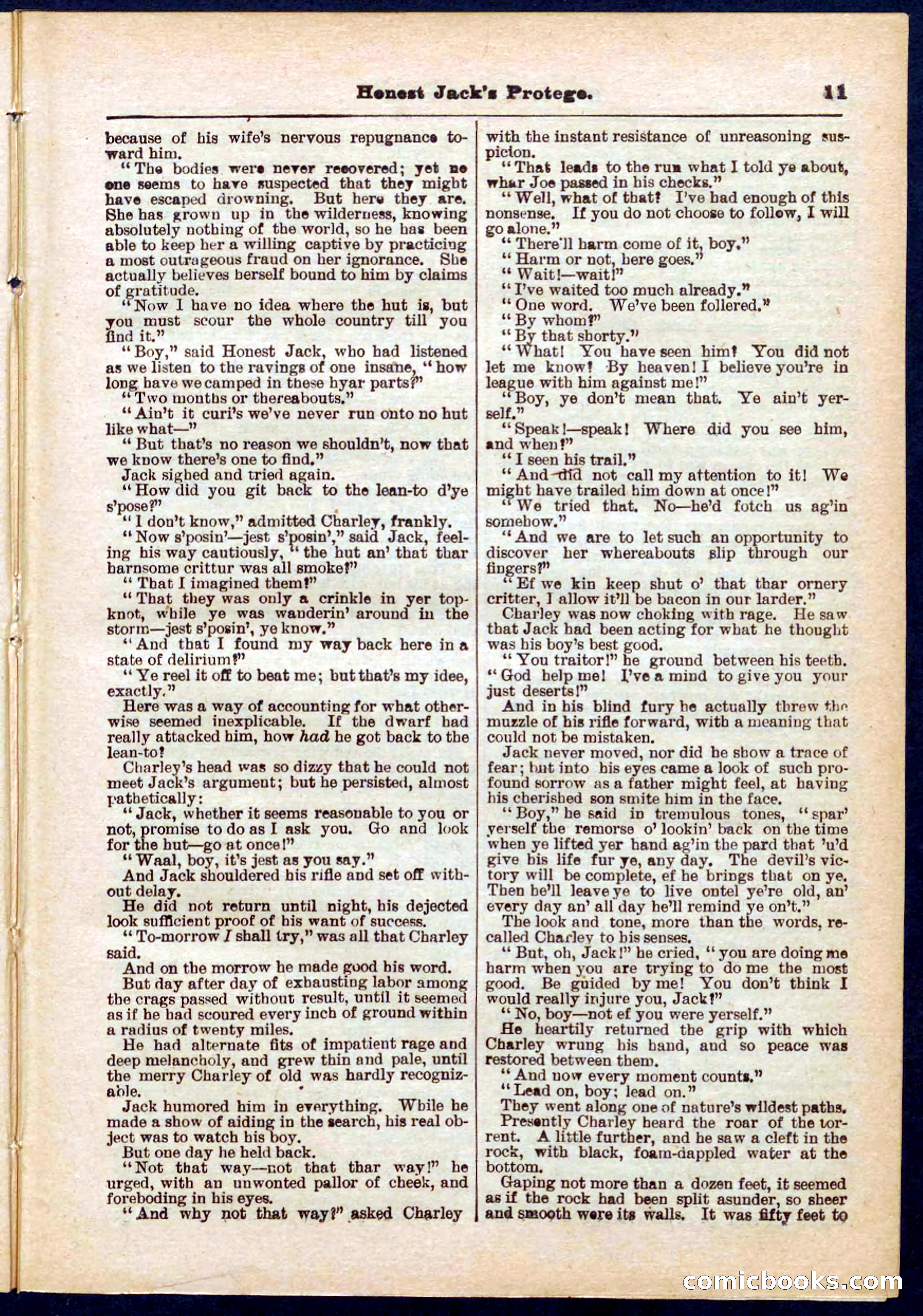 Beadle's Pocket Library No. 313 — page 11 of 32