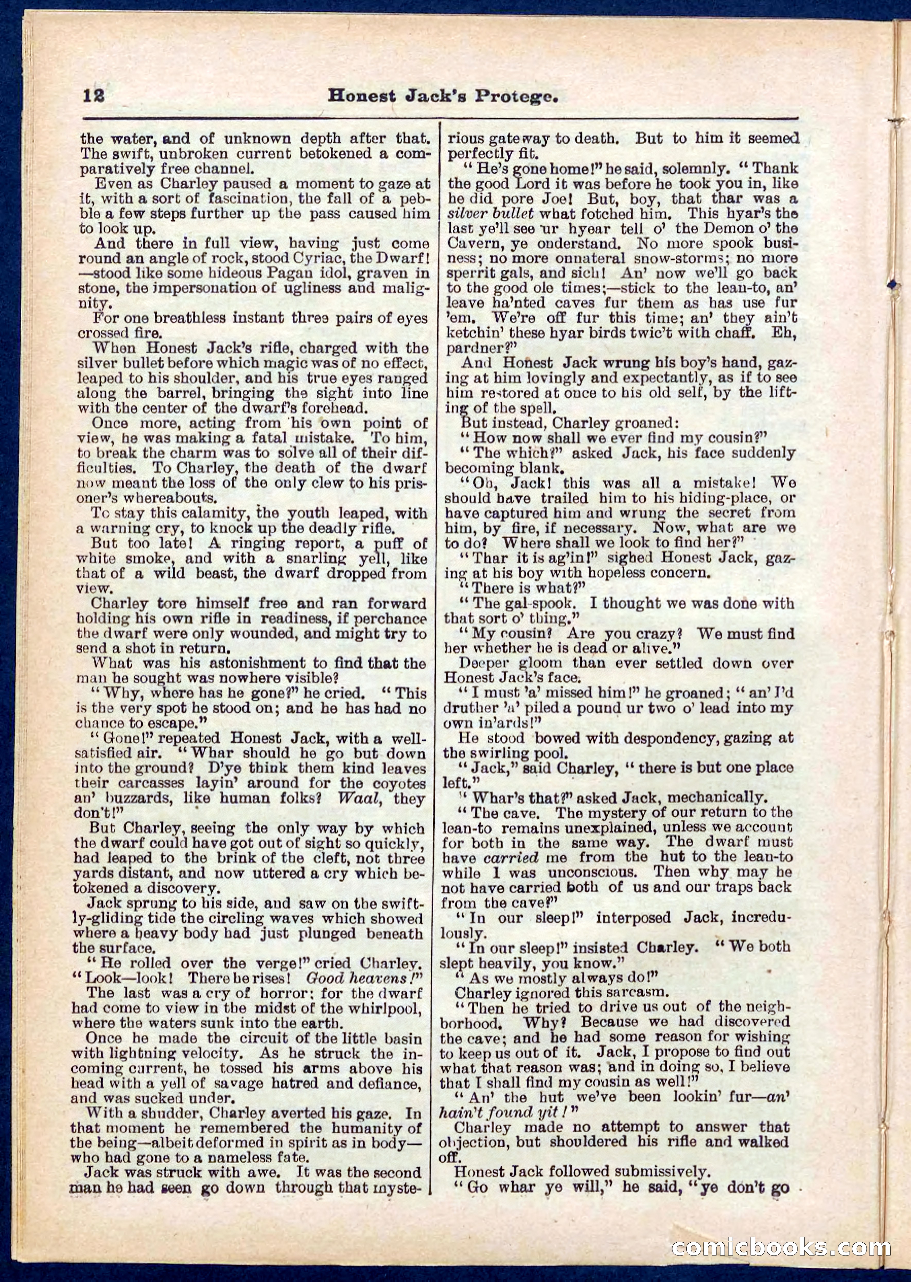 Beadle's Pocket Library No. 313 — page 12 of 32