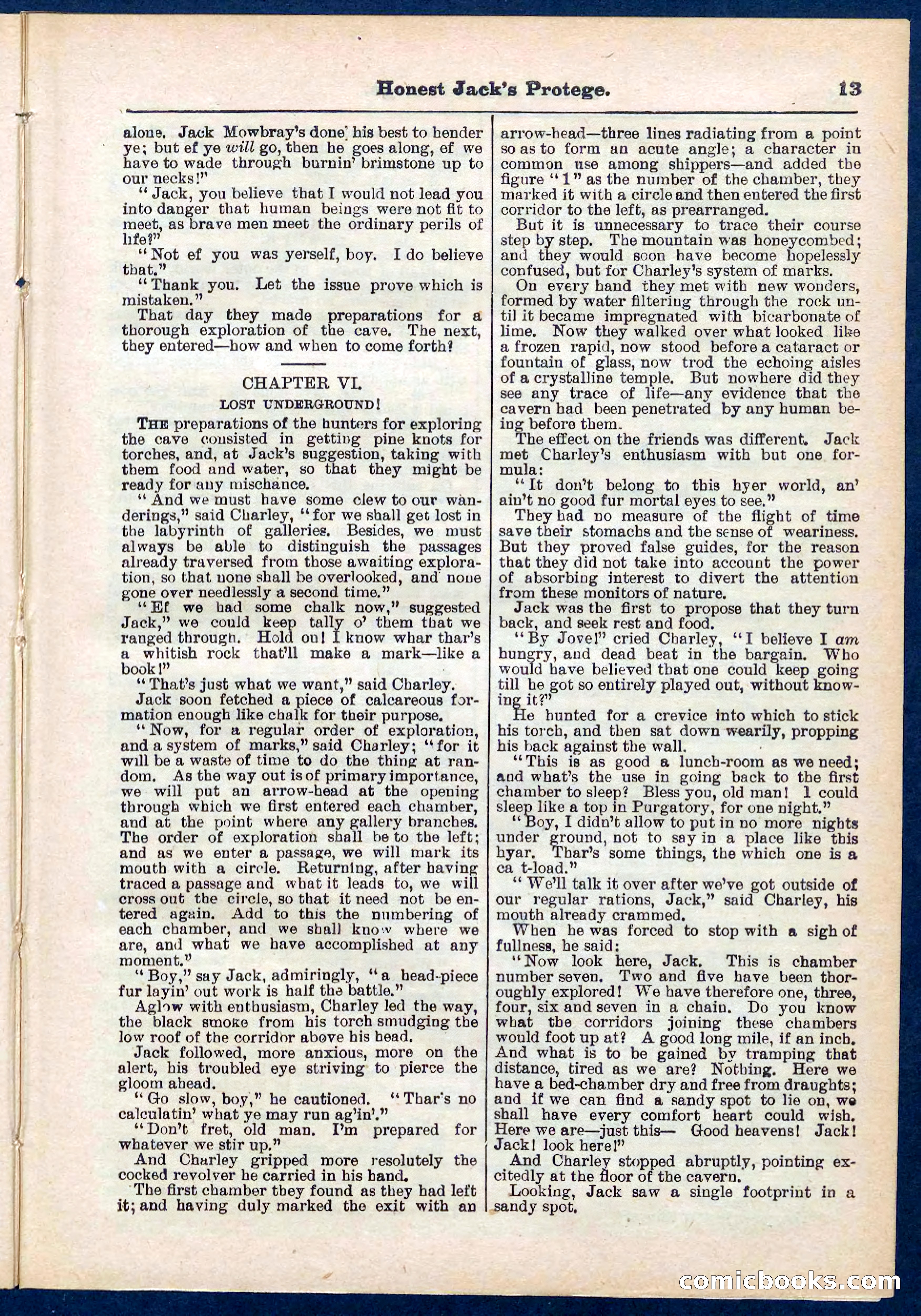 Beadle's Pocket Library No. 313 — page 13 of 32