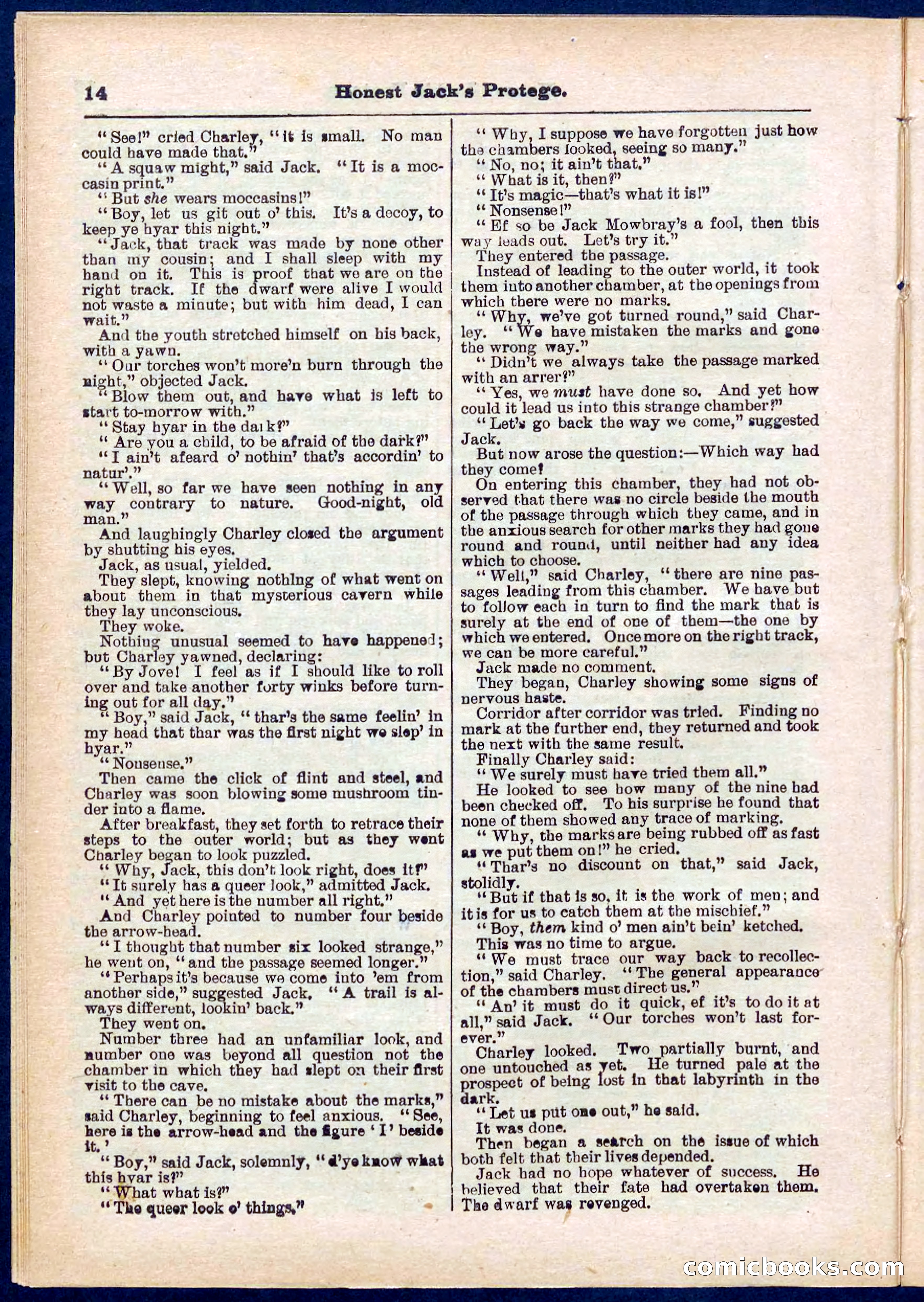 Beadle's Pocket Library No. 313 — page 14 of 32
