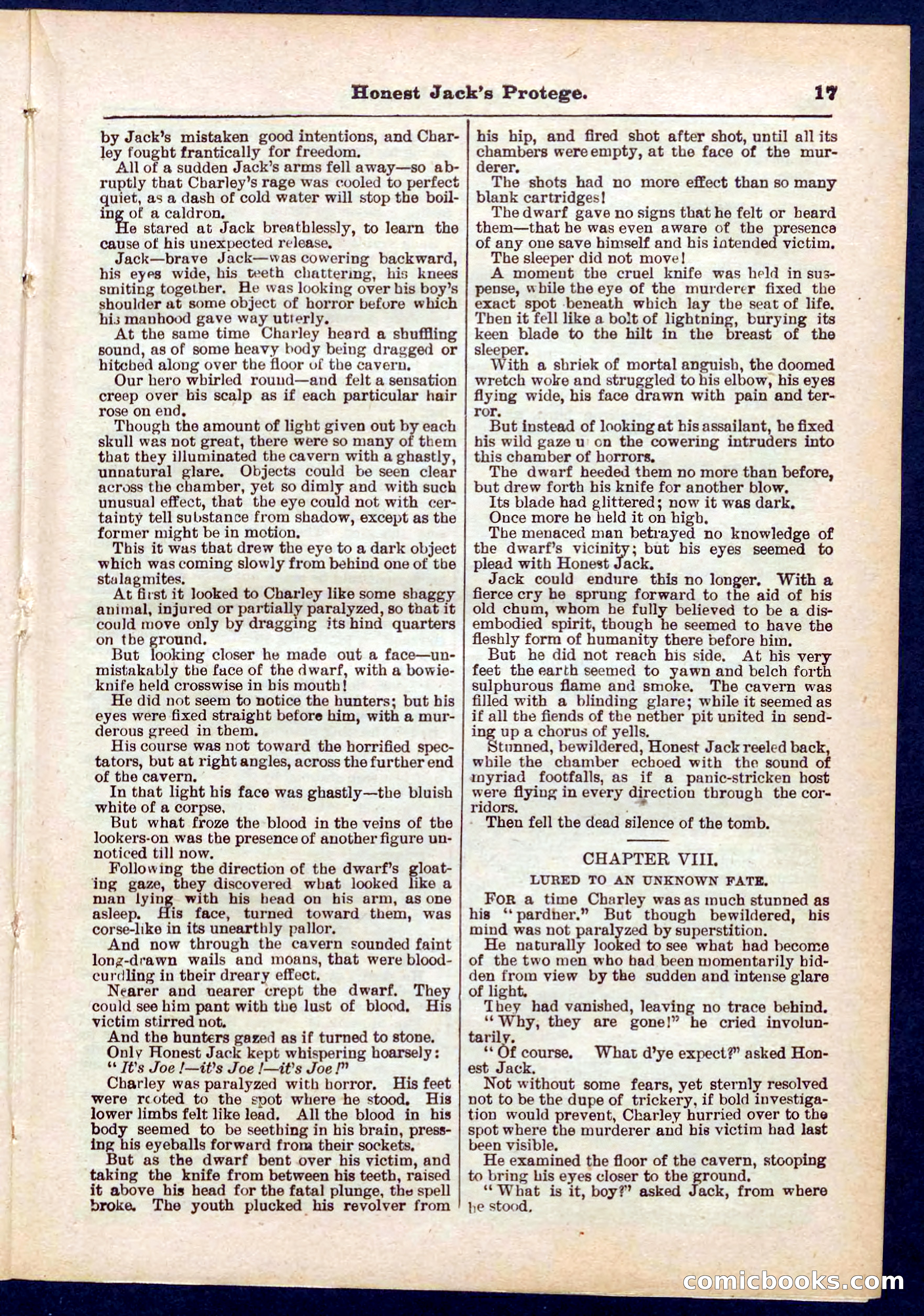 Beadle's Pocket Library No. 313 — page 17 of 32