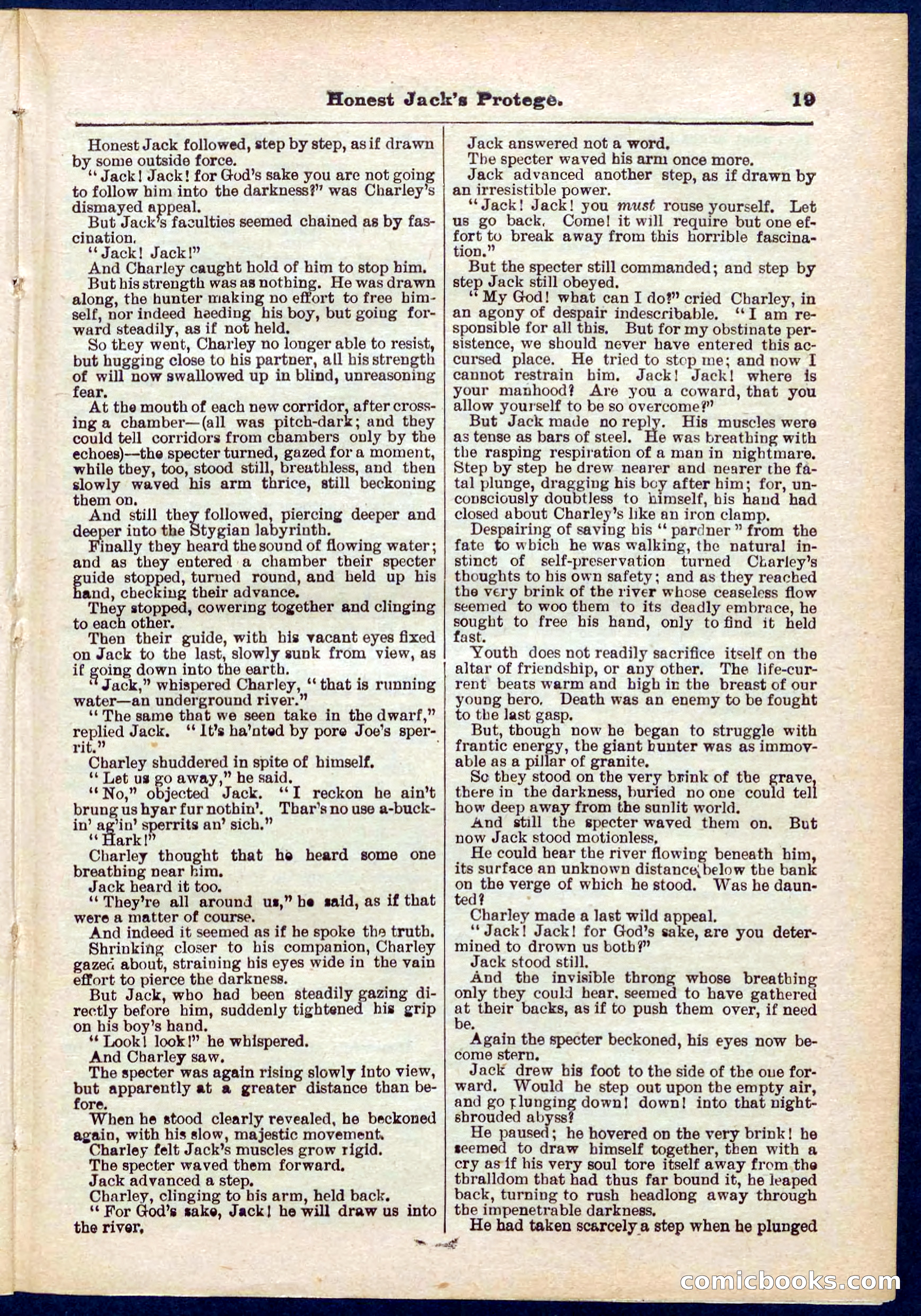 Beadle's Pocket Library No. 313 — page 19 of 32