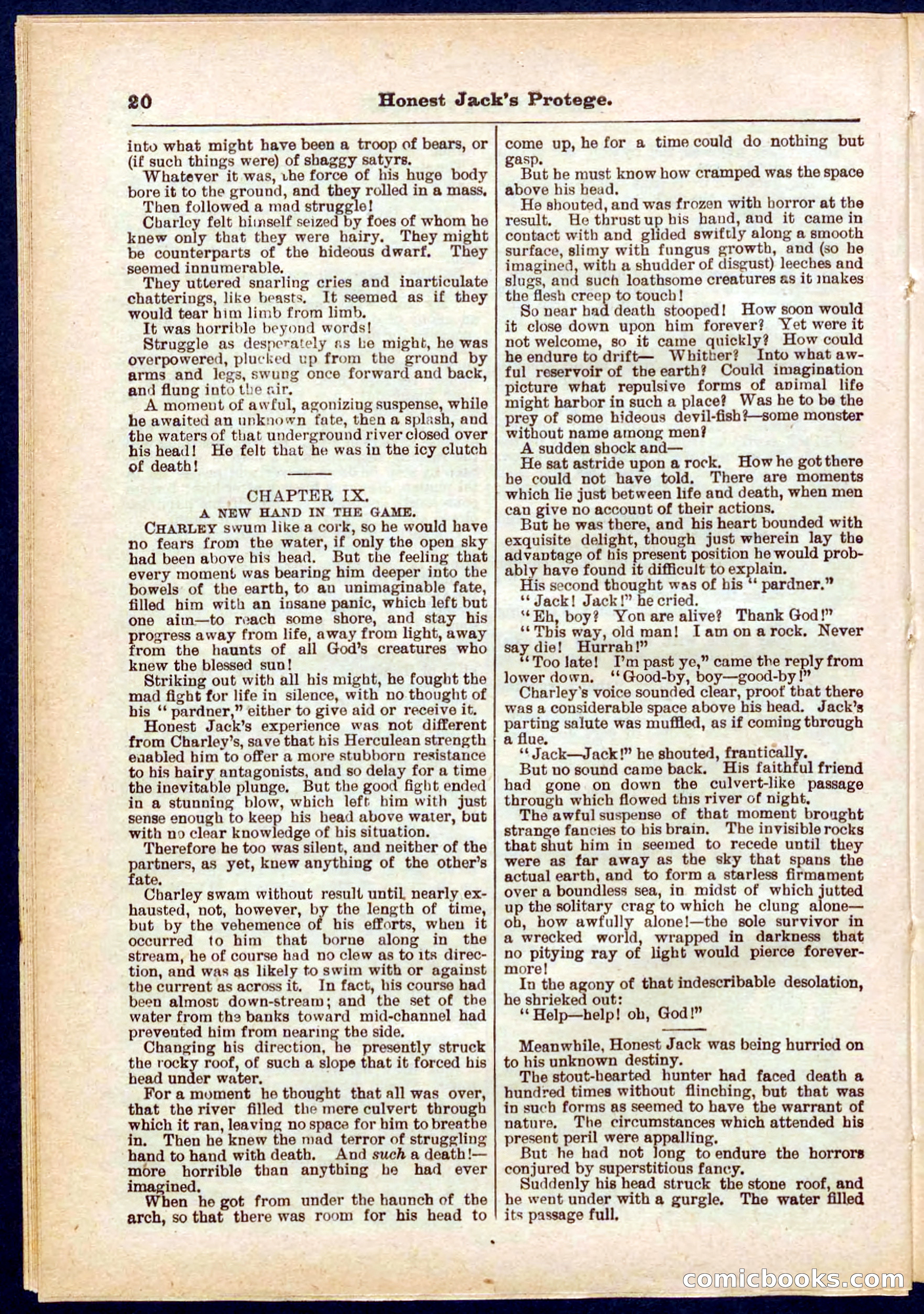 Beadle's Pocket Library No. 313 — page 20 of 32